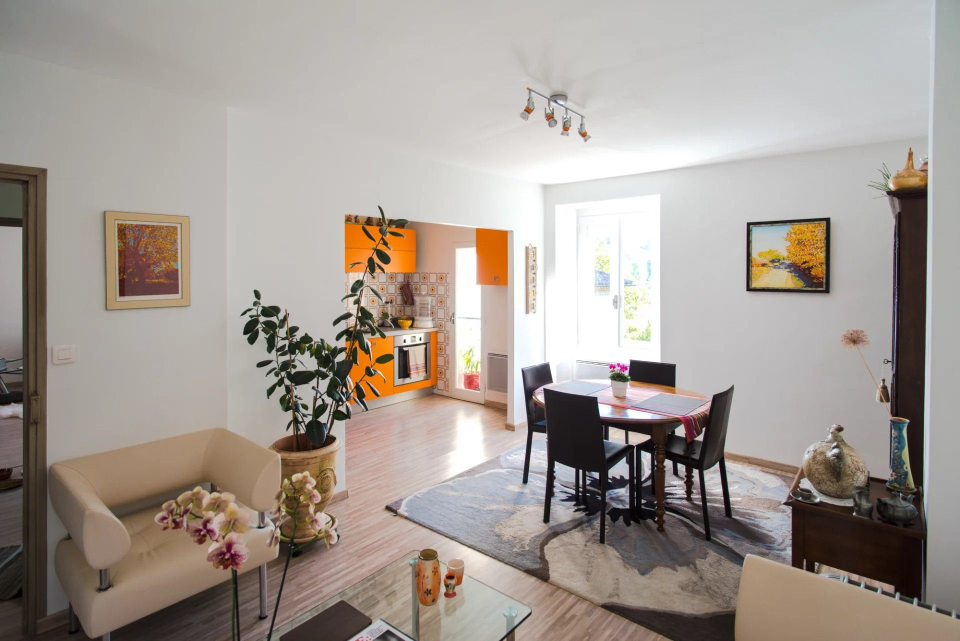 Maison à vendre à Saint-Jean-du-Gard, 373 m²