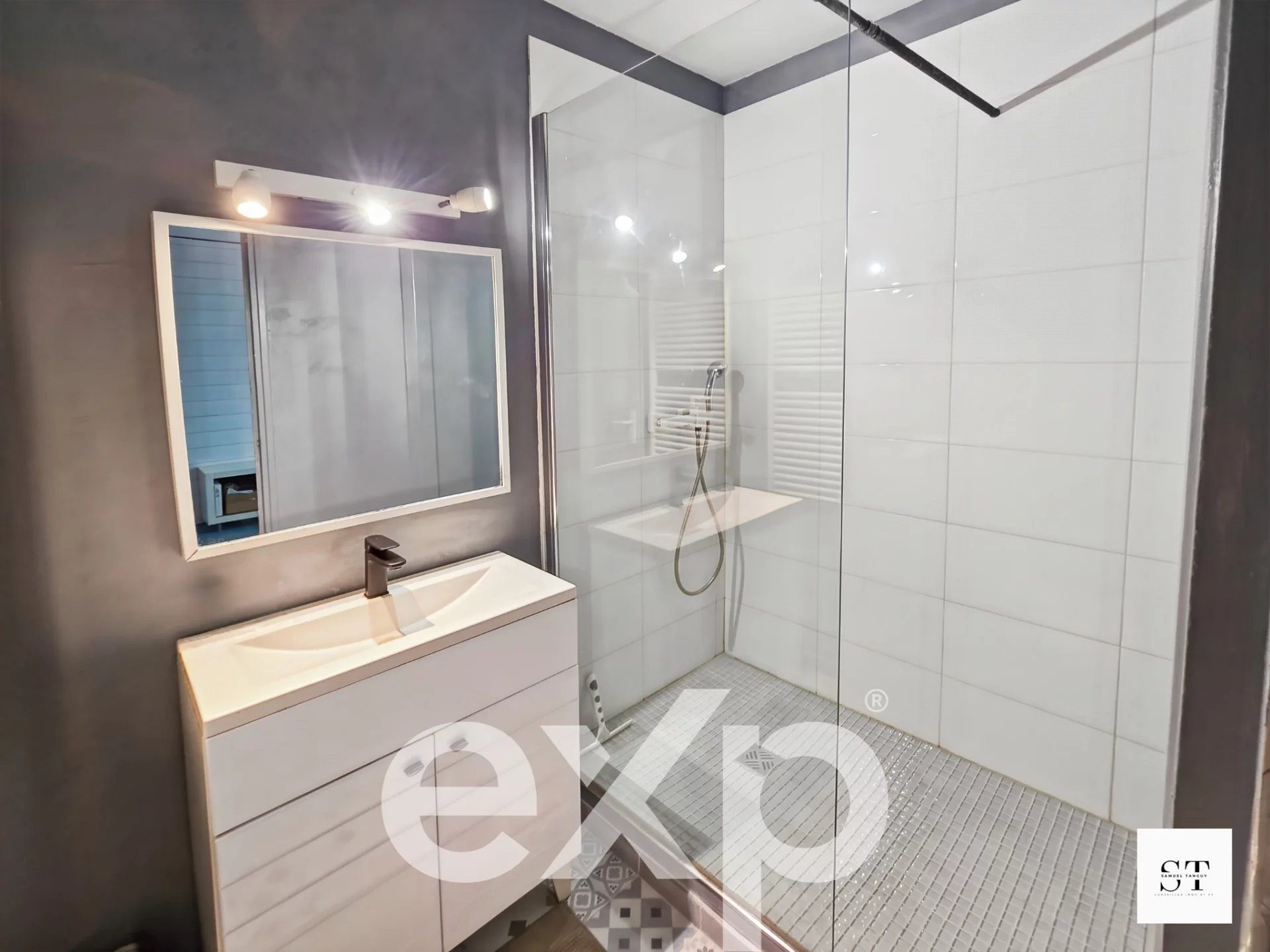 Maison à vendre à Saint-Sébastien-sur-Loire, 255 m²