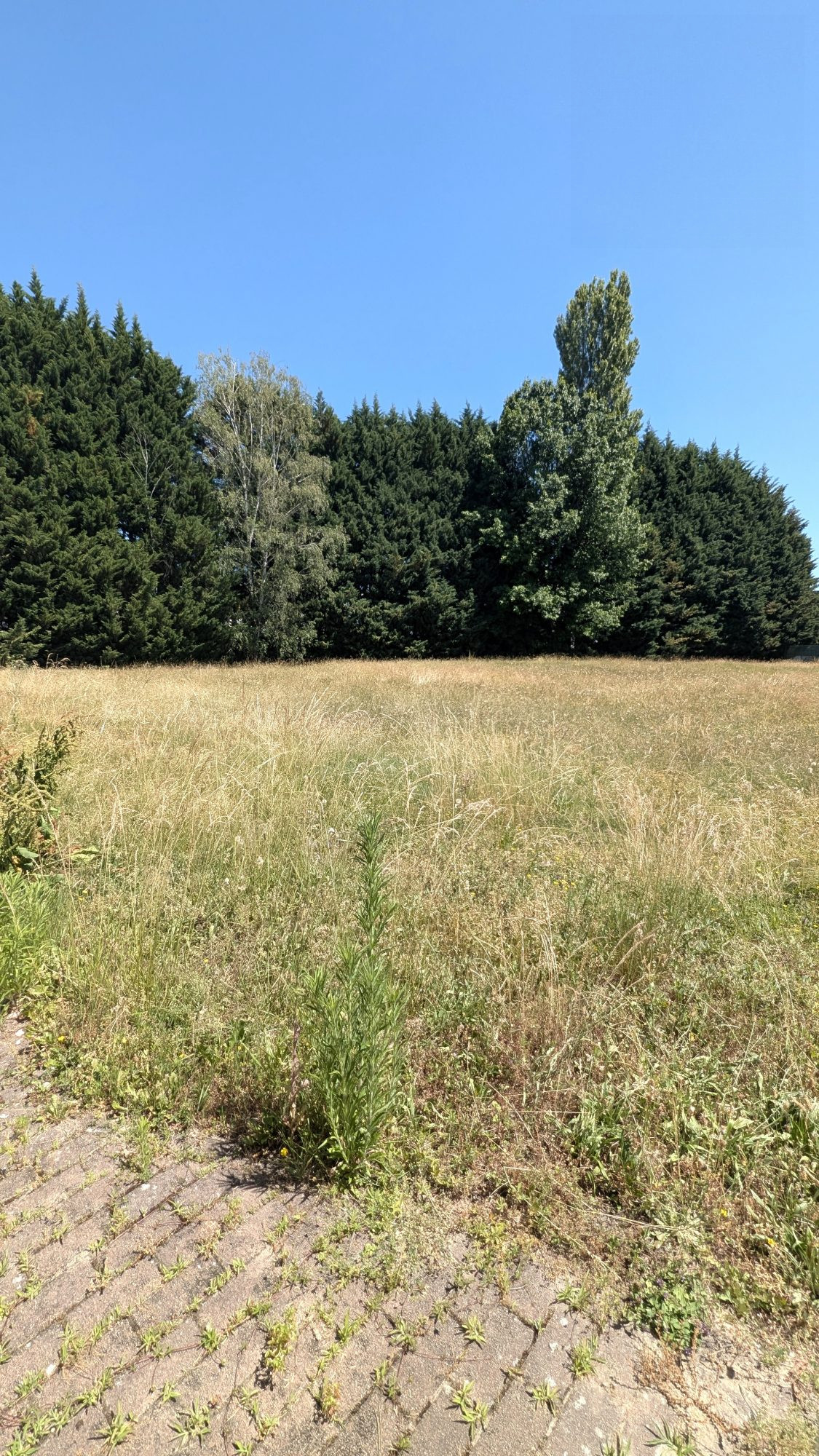 Business premises with offices, workshop, storage, and residential accommodation. 3