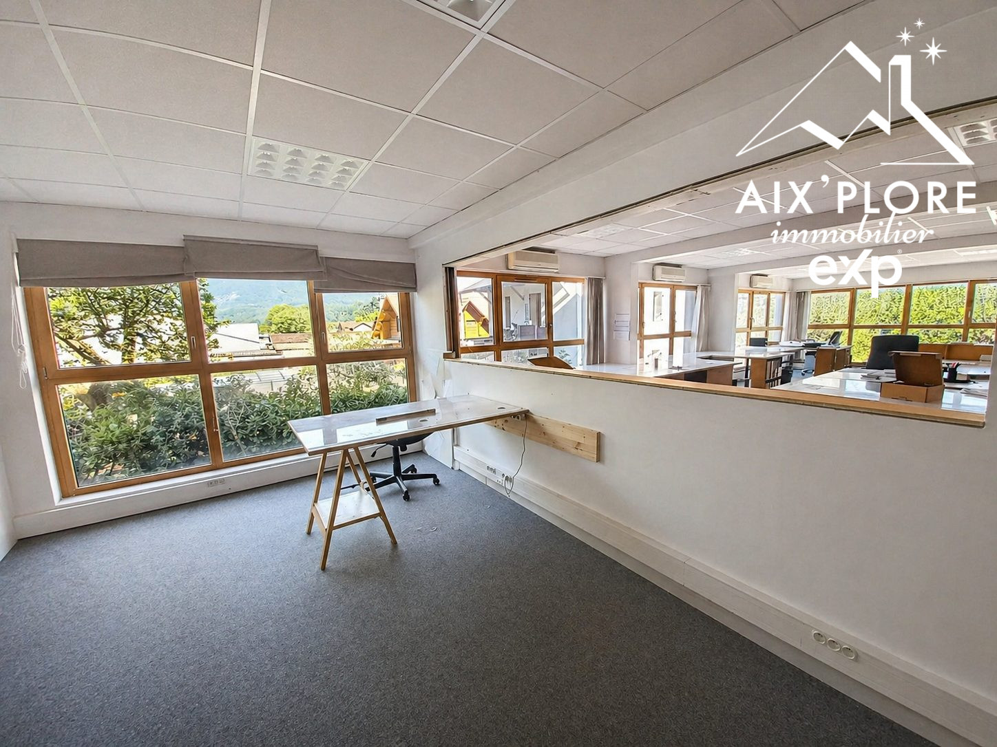 Immobilier pro dans Pontcharra