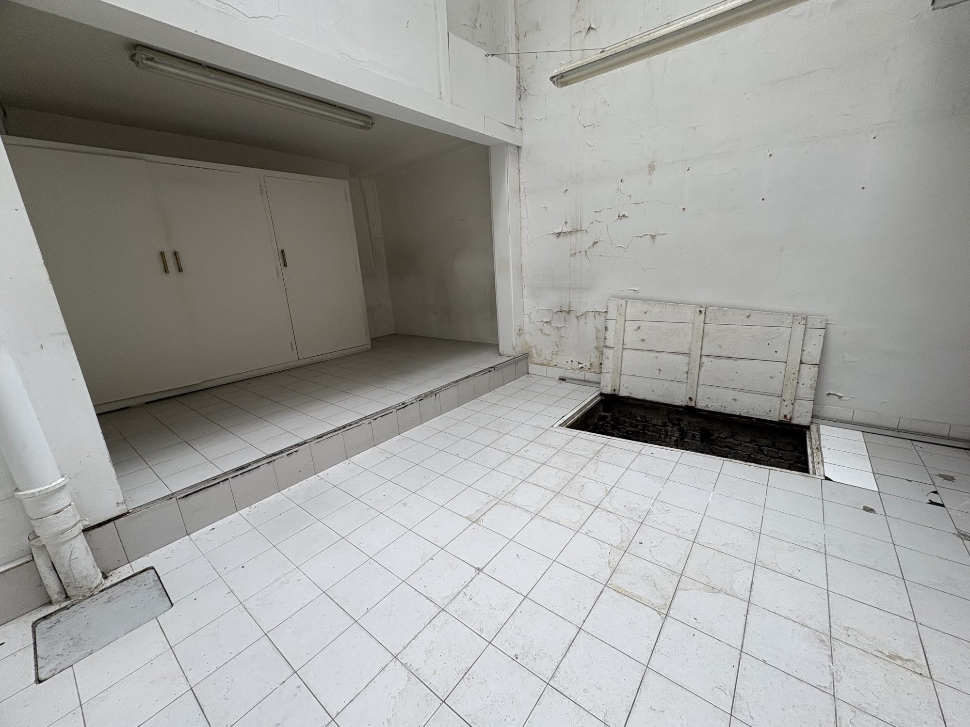 Immobilier pro à vendre à Troyes