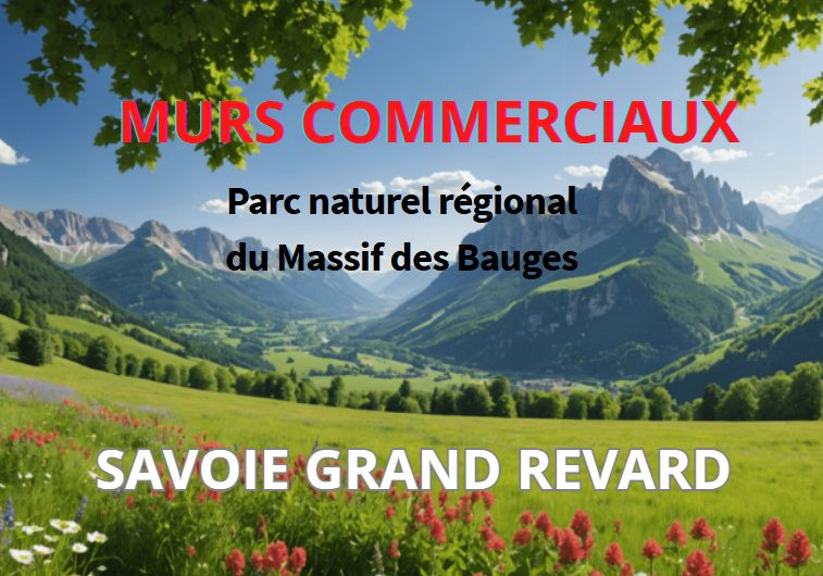 Immobilier pro dans la feclaz