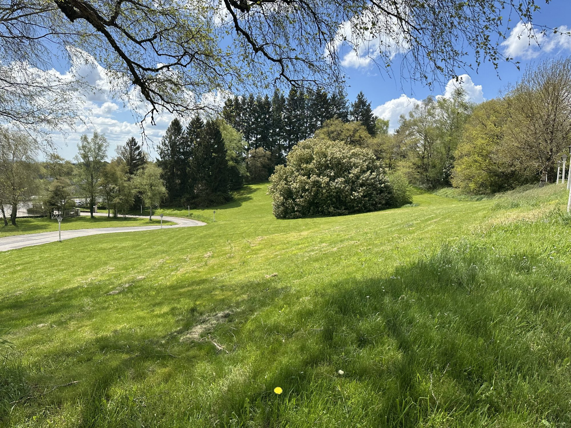 Immobilier pro à vendre à Baraqueville