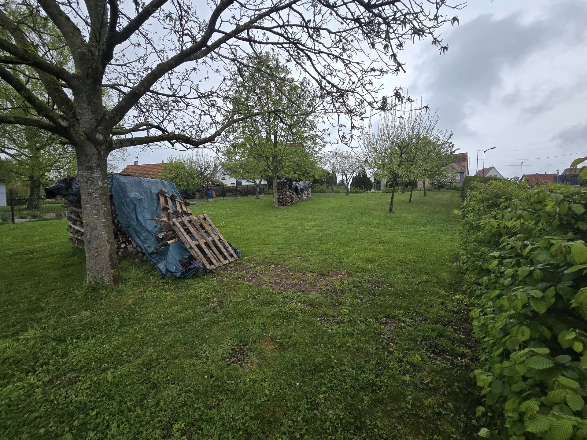 🏡 Terrain constructible à vendre – Walbourg (67360)