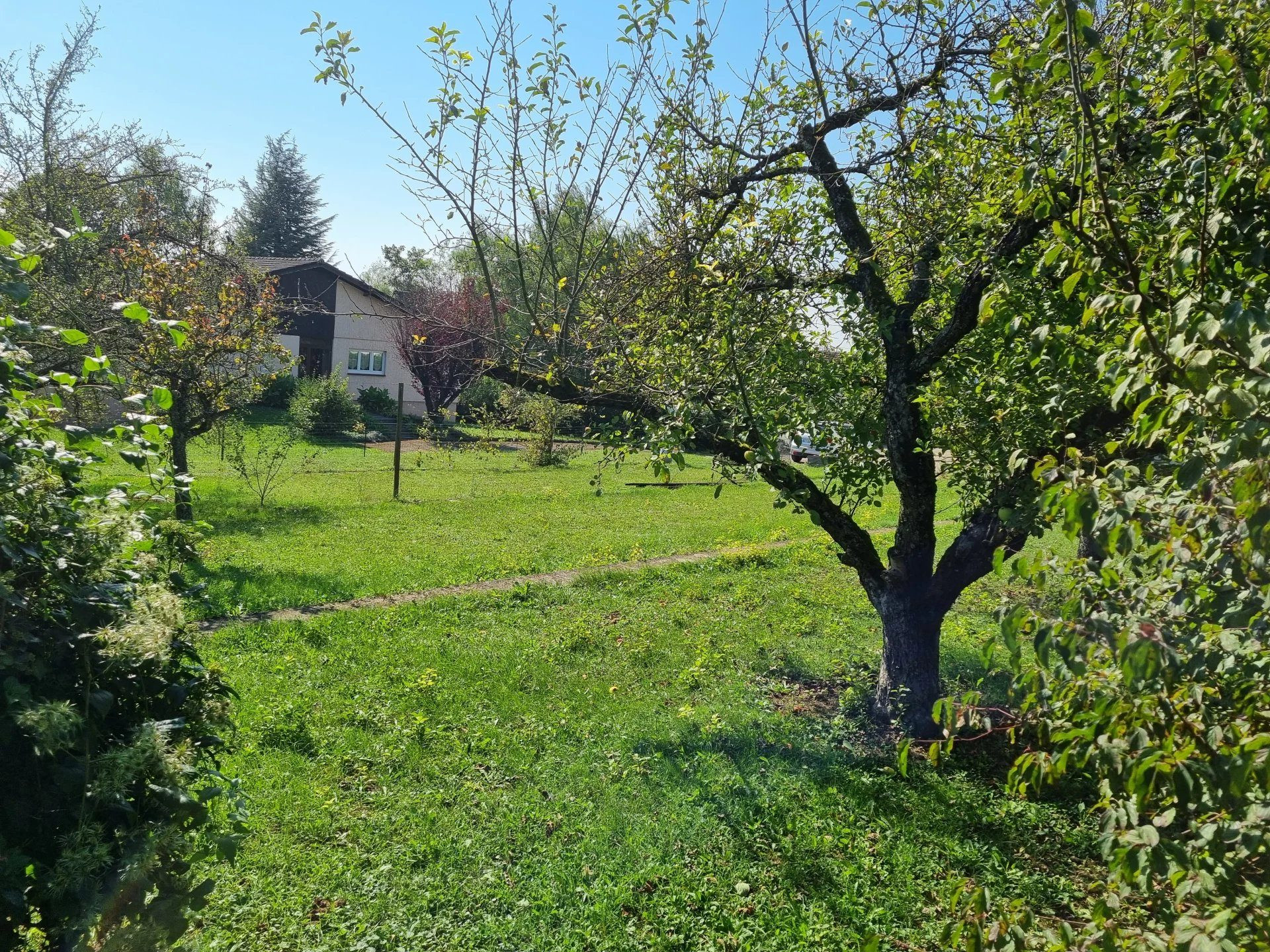 For Sale: Buildable Land in Sarrebourg 5