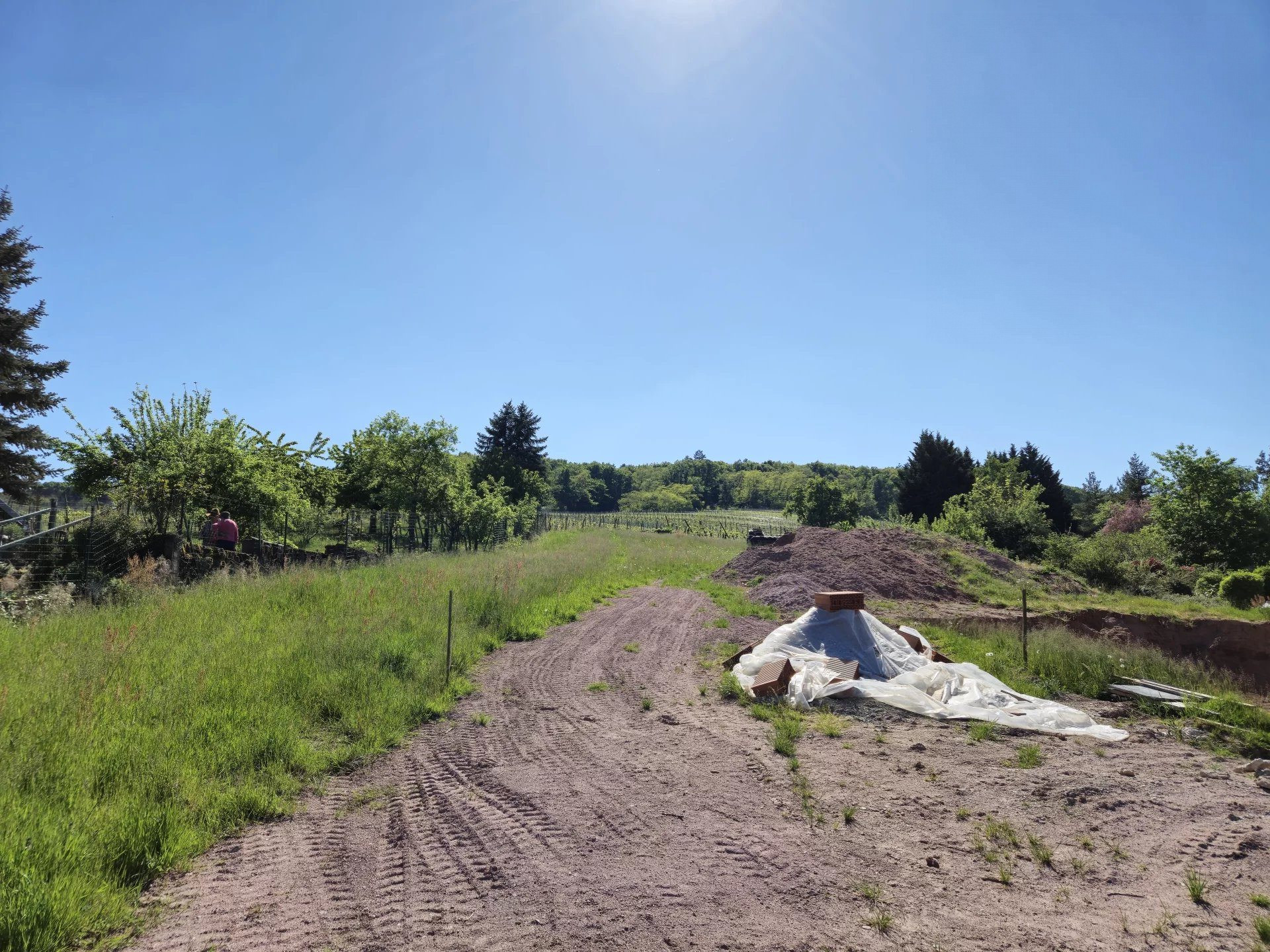 Buildable Land in Blienschwiller of 10.15 Ares 3