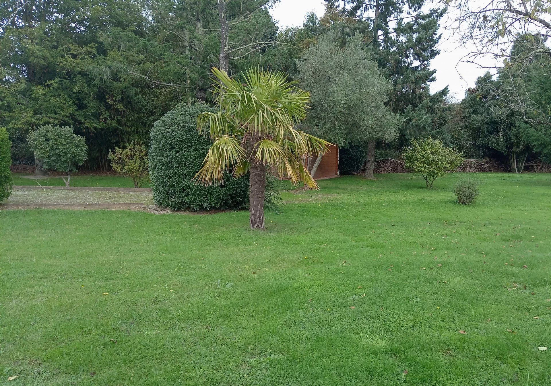 LAND FOR SALE - MESANGER 2
