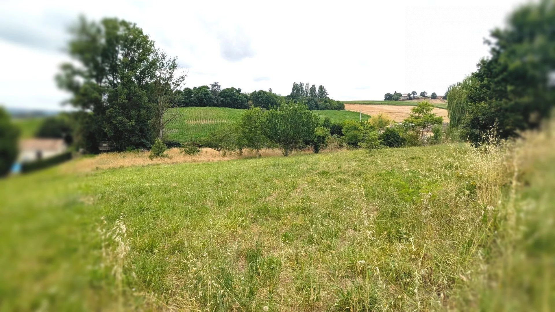 Building Land of 2,970 m² 3