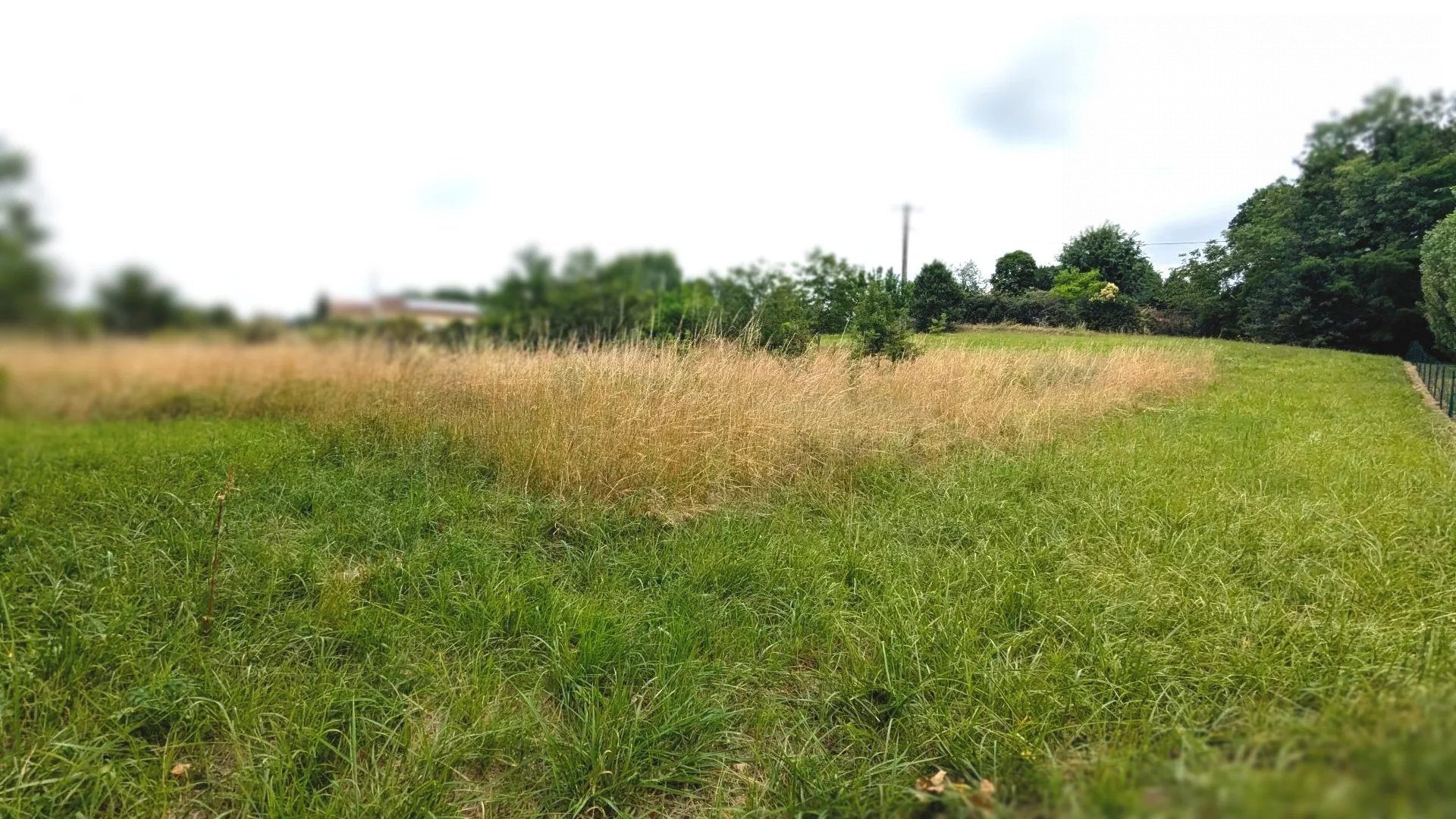 Terrain 113 m² · à La Sauvetat-de-Savères · 113 m² · 50 000 €