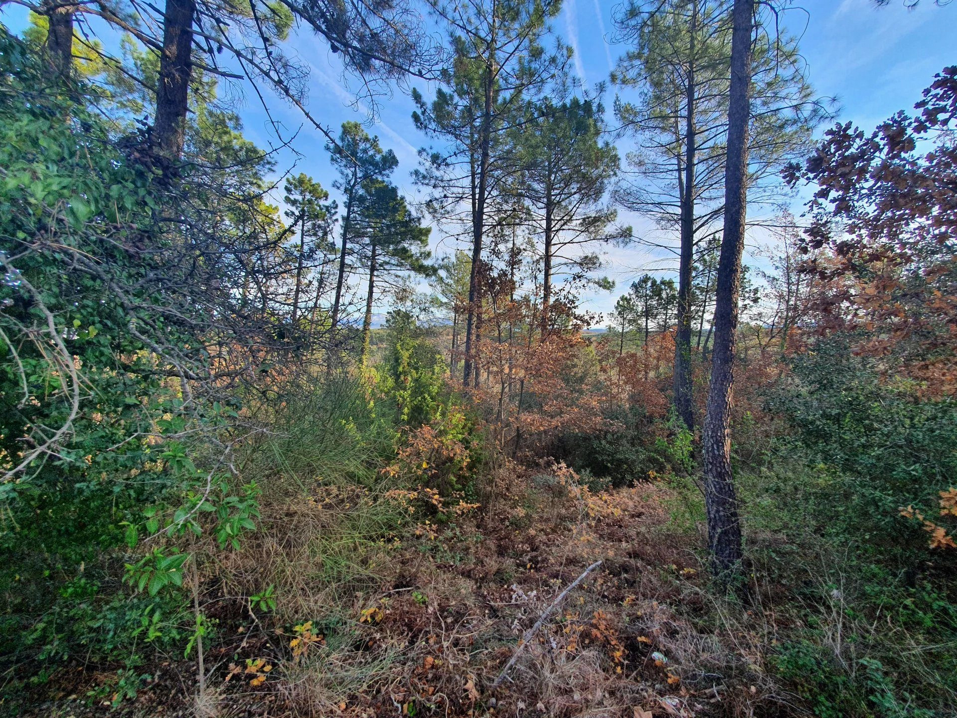 Terrain 98 m² · à Saint-Paul-en-Forêt · 98 m² · 163 000 €