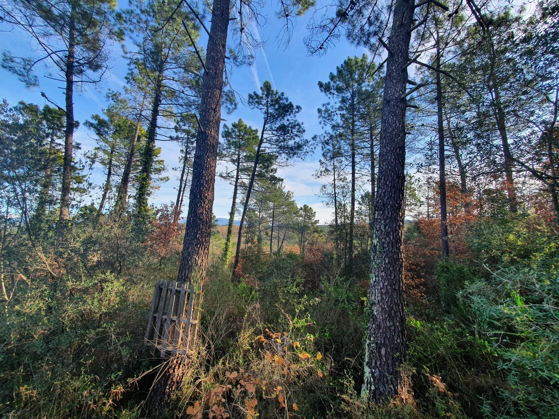 Terrain à vendre à Saint-Paul-en-Forêt