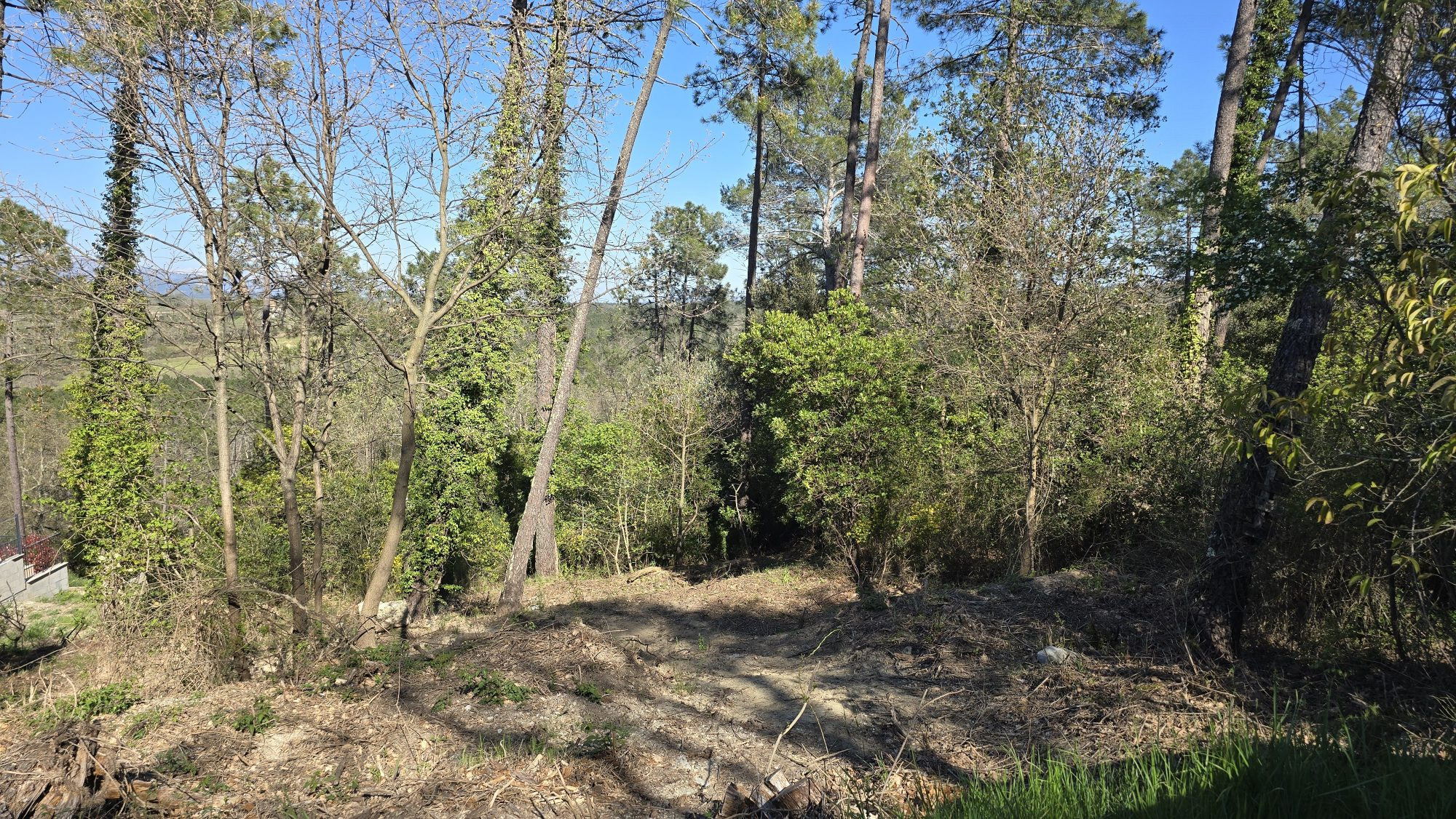 Terrain à vendre à Saint-Paul-en-Forêt