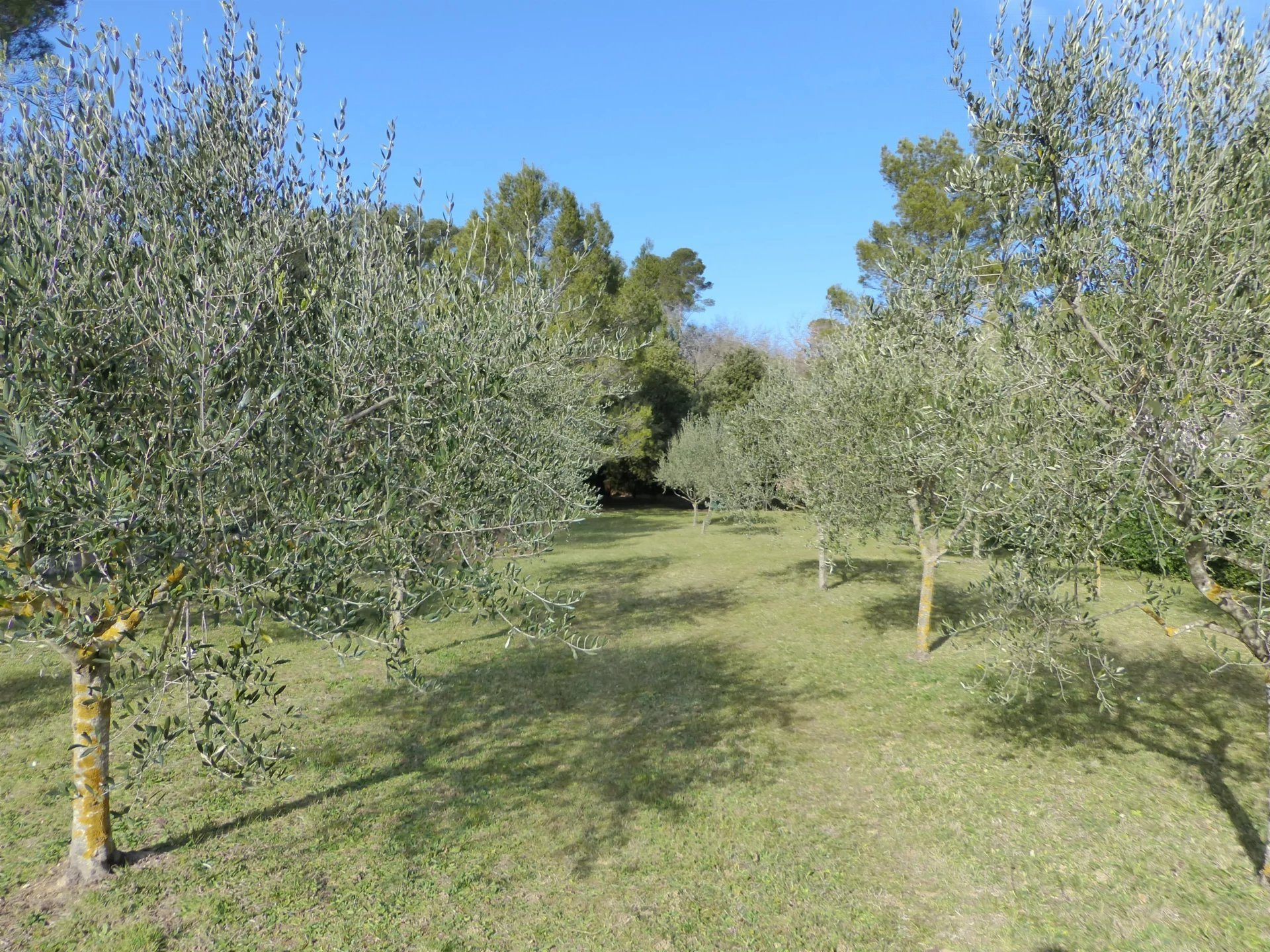 Terrain constructible de 1783 m² à La Roquebrussanne