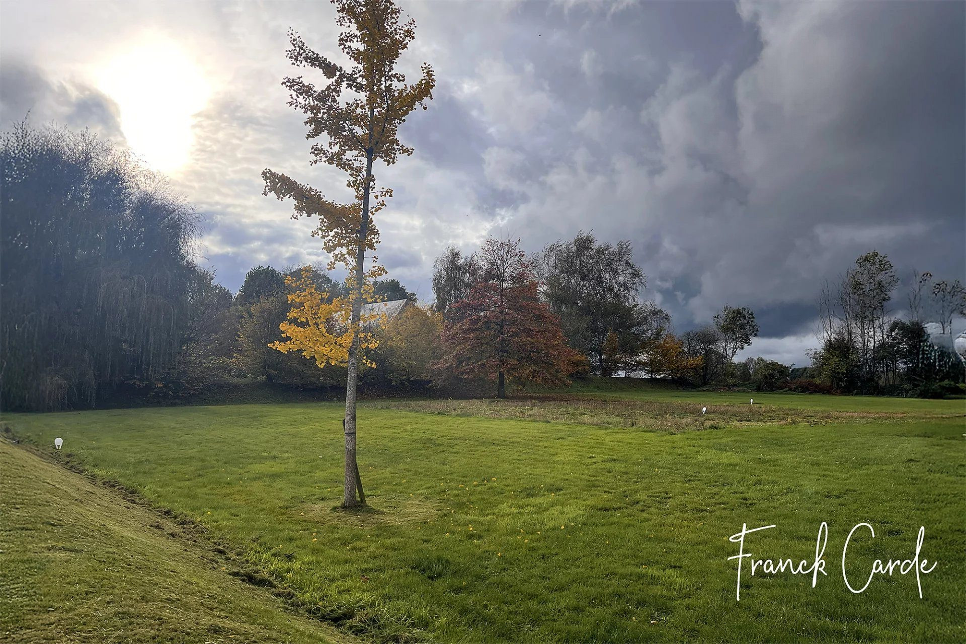 Terrains