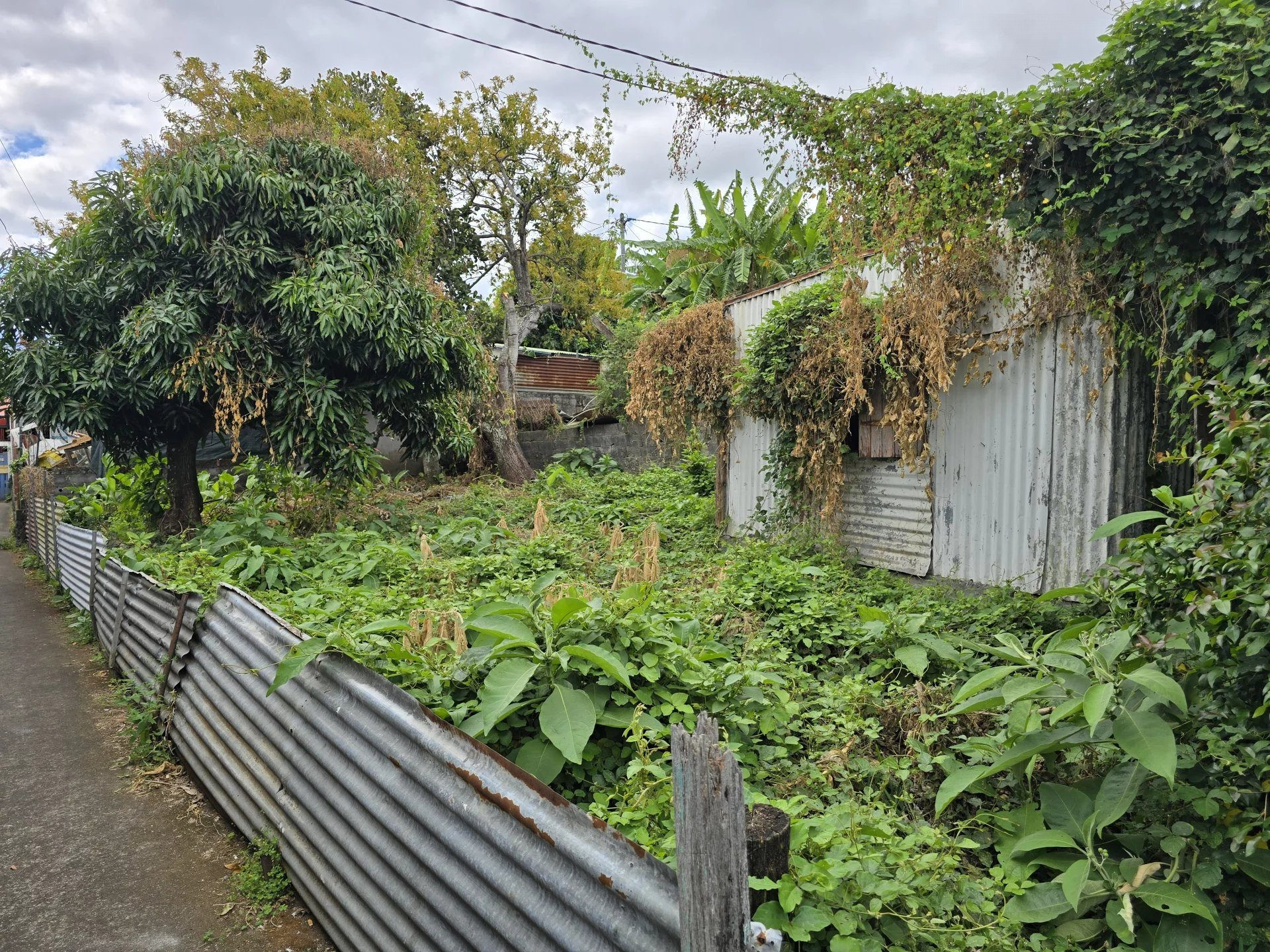 MUST SEIZE – STRATEGIC PLOT IN THE HEART OF LE TAMPON 3
