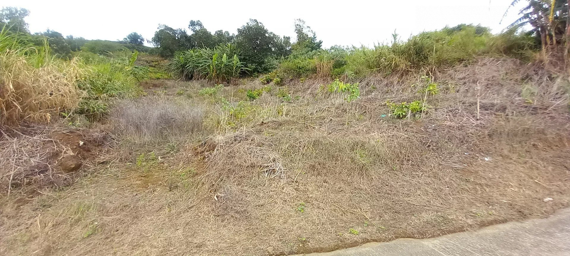 À vendre : Terrain La Chaloupe Saint-Leu – Vue panoramique sur la côte de Saint-Leu · 145 000 €