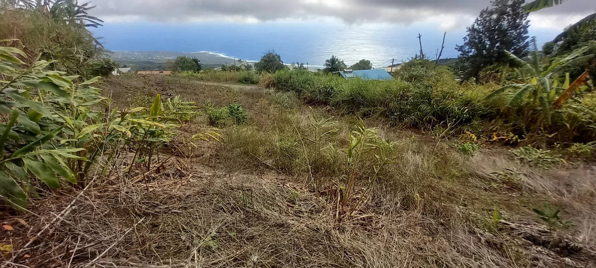 À vendre : Terrain La Chaloupe Saint-Leu – Vue panoramique sur la côte de Saint-Leu