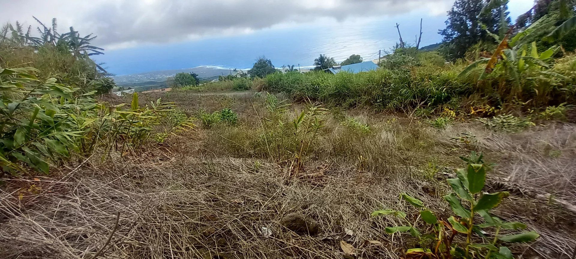 À vendre : Terrain La Chaloupe Saint-Leu – Vue panoramique sur la côte de Saint-Leu