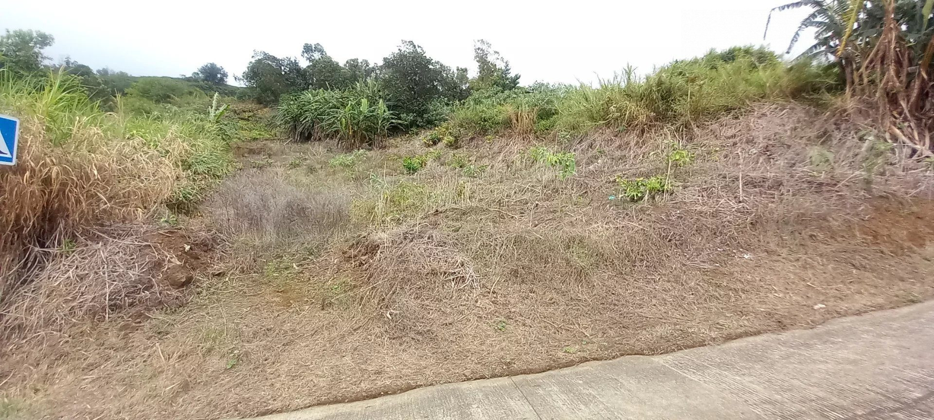 À vendre : Terrain La Chaloupe Saint-Leu – Vue panoramique sur la côte de Saint-Leu