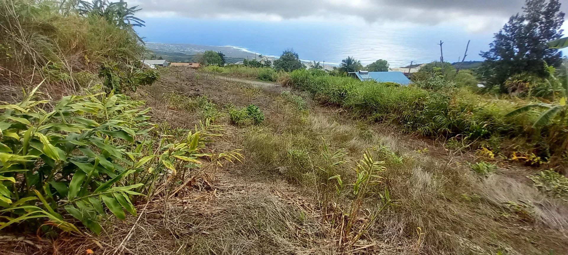 À vendre : Terrain La Chaloupe Saint-Leu – Vue panoramique sur la côte de Saint-Leu