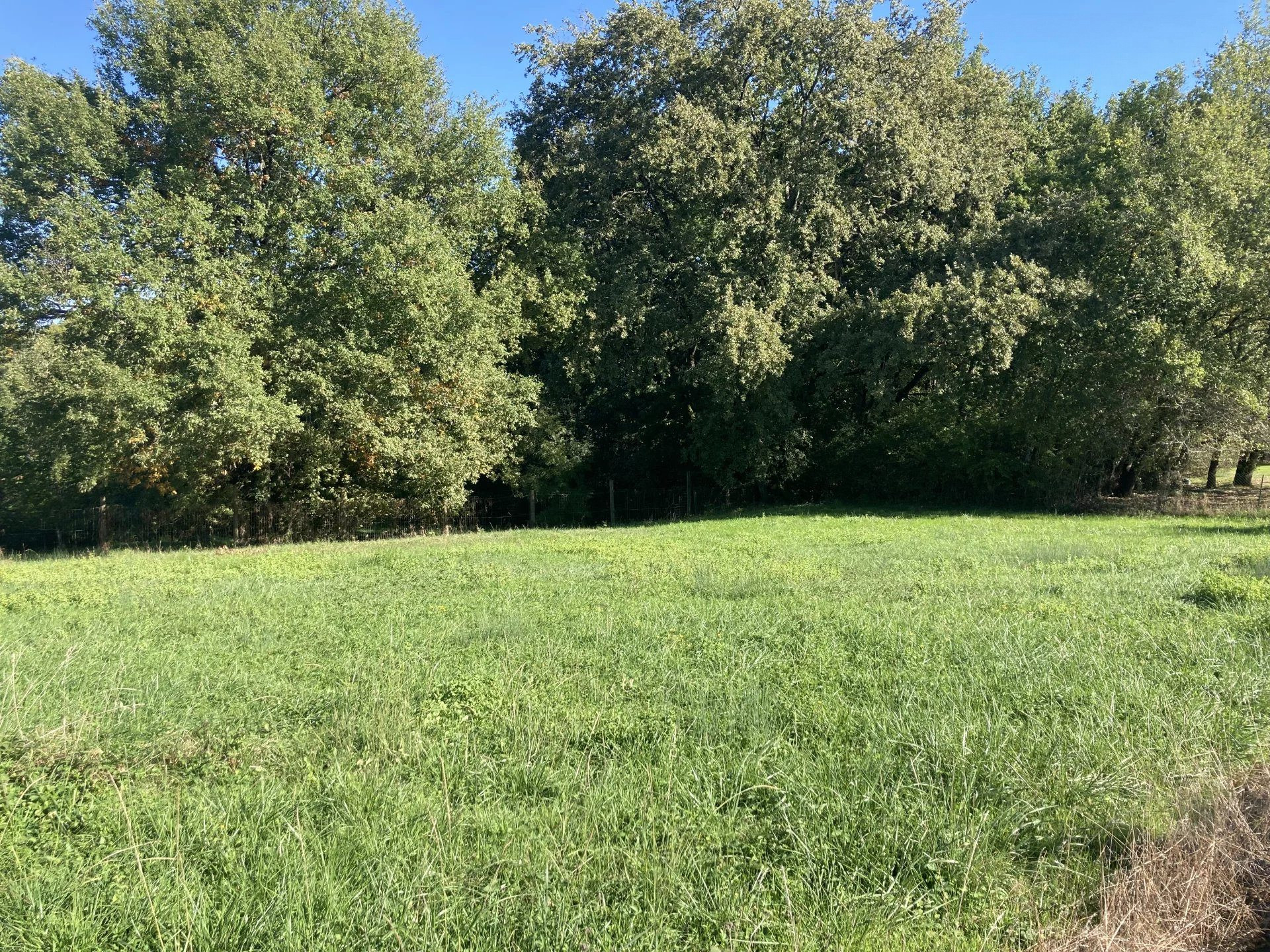 Terrain 1011 m² · à Aubiac · 1 011 m² · 78 000 €