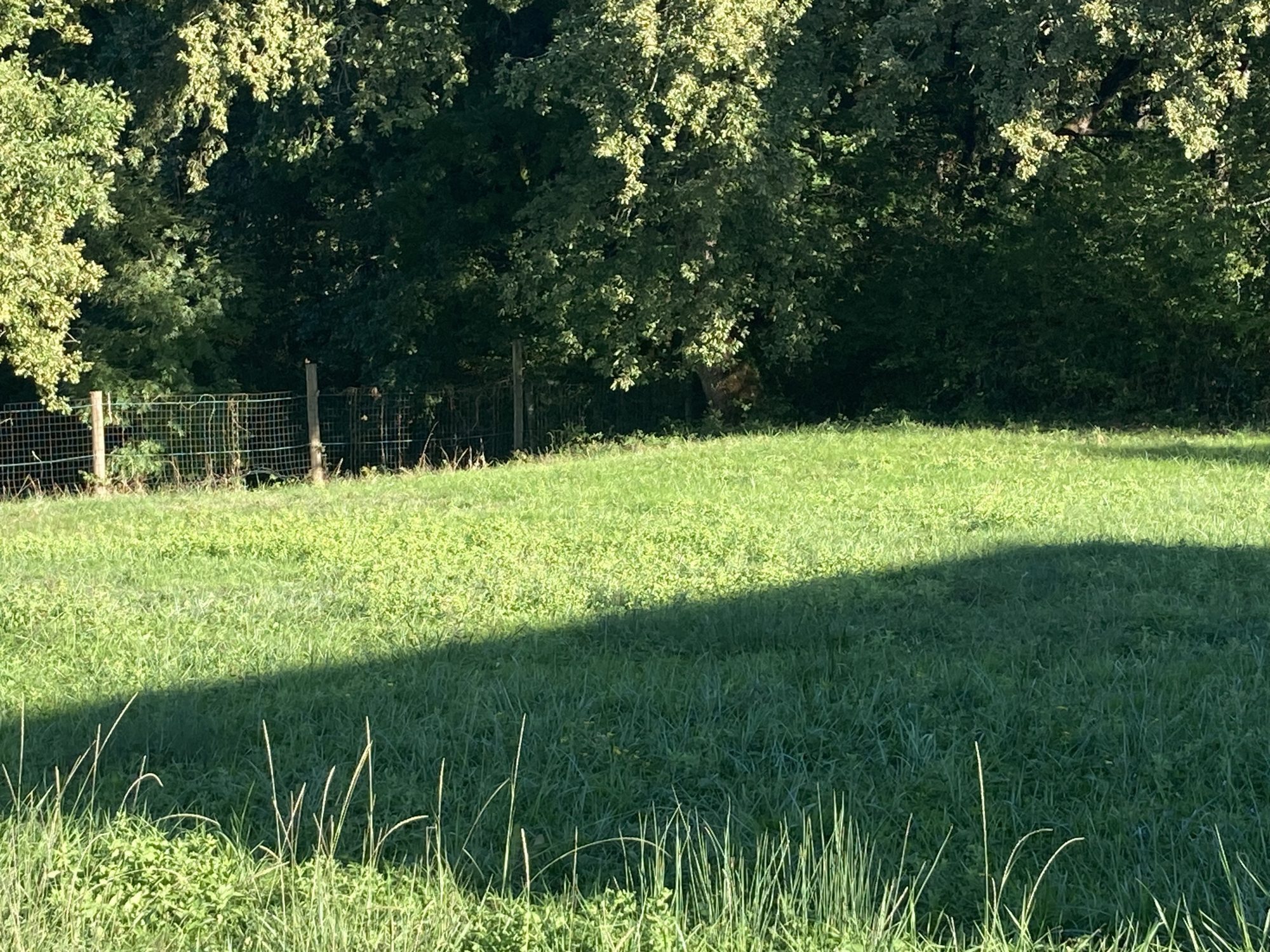 Building Plots of 1011 m² in Aubiac, France 4