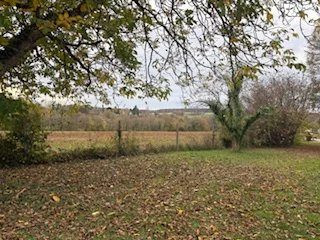 Buildable land in GENILLÉ (37460) of approximately 3,000 m². 3