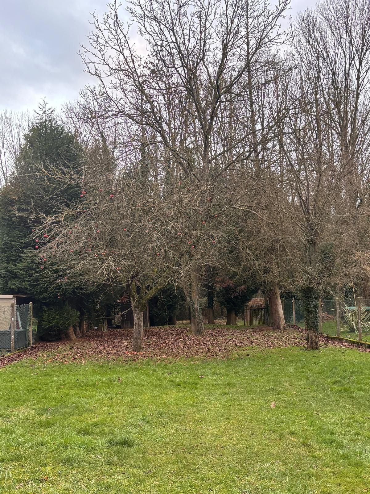 Terrain arboré constructible a vendre