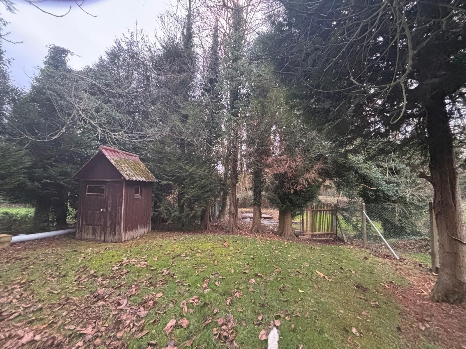 Buildable wooded land for sale 3
