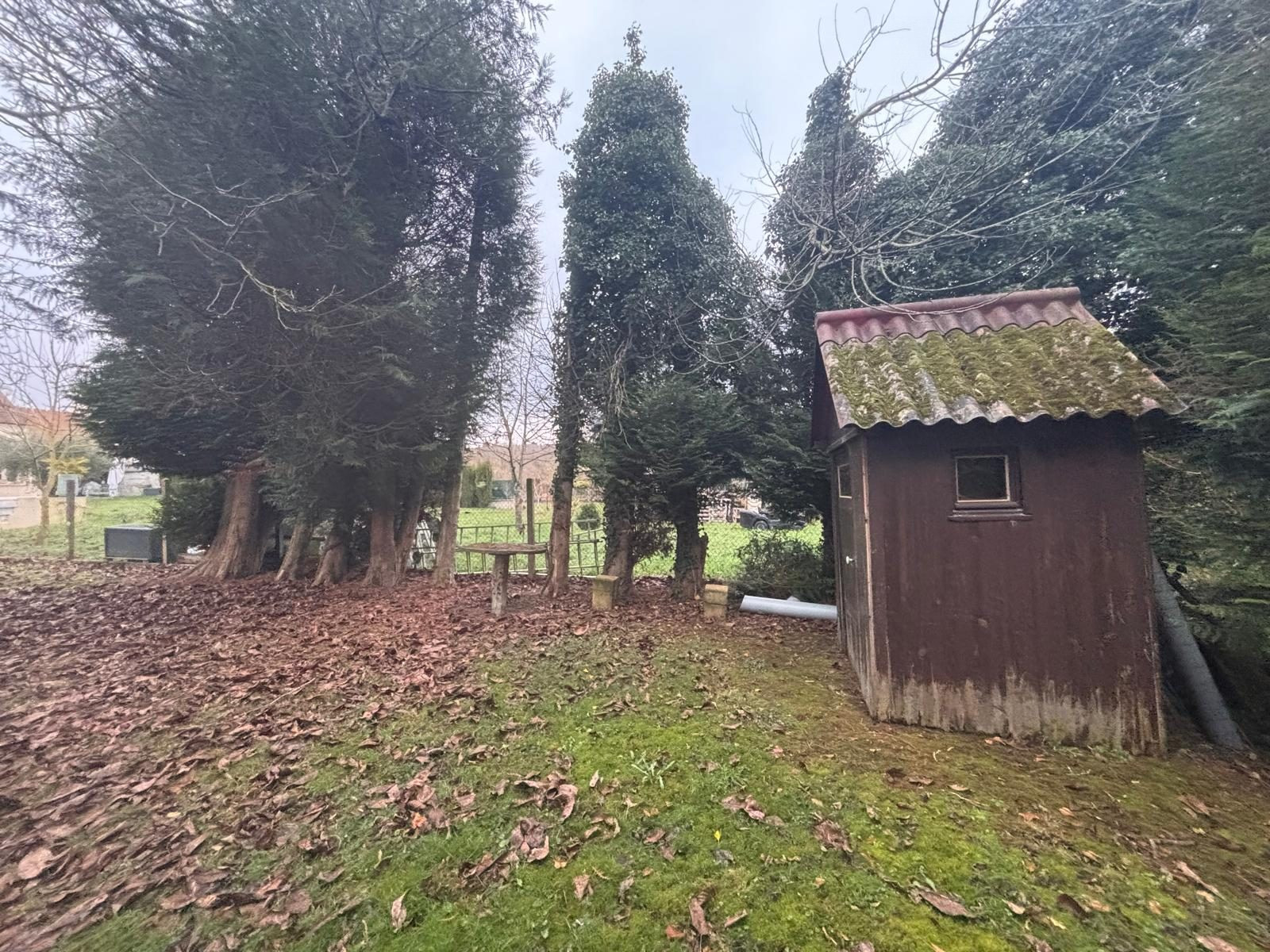 Buildable wooded land for sale 4