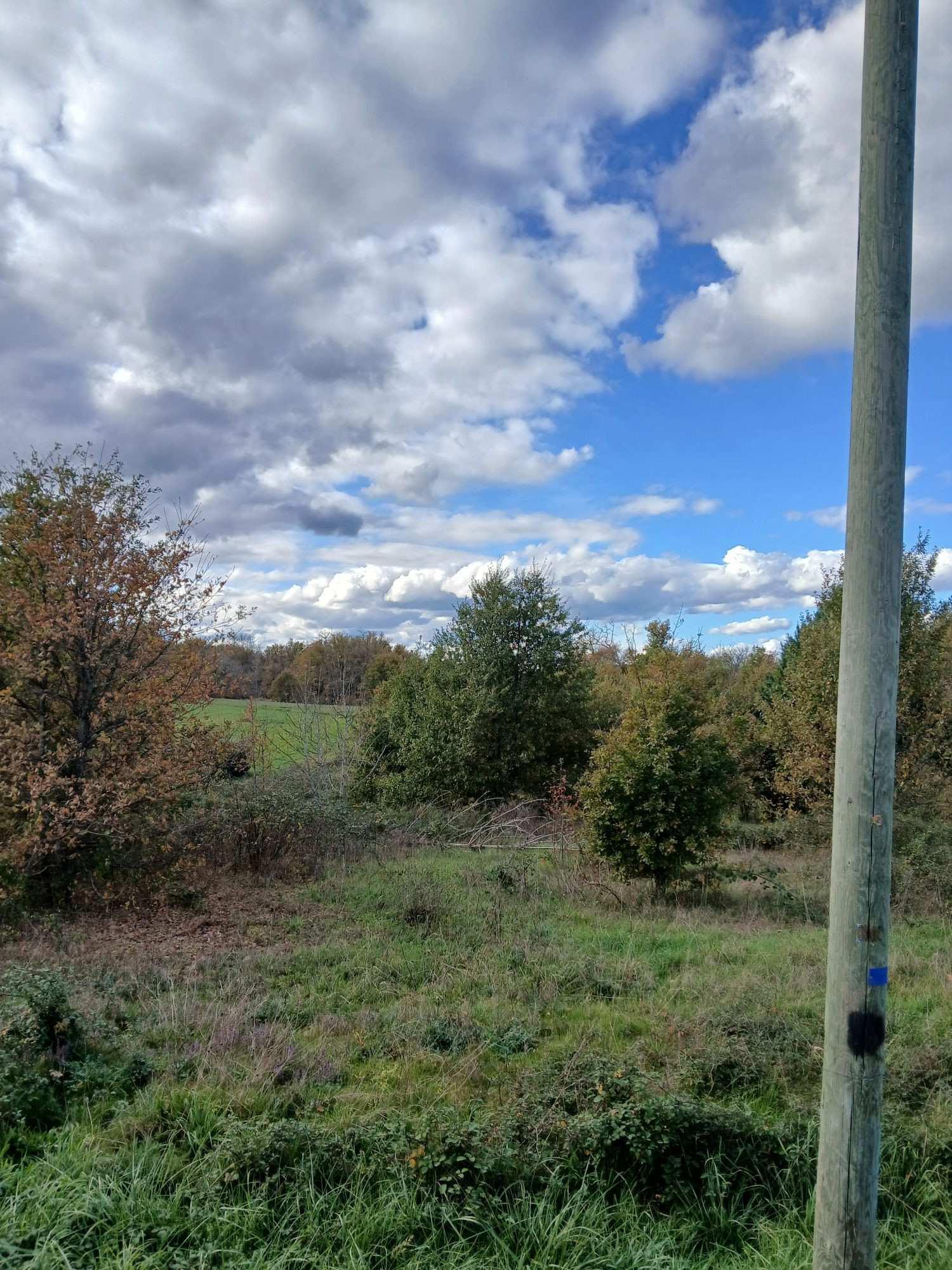 Superb 5,337 m² land plot, 1,909 m² buildable, in a peaceful setting. 4