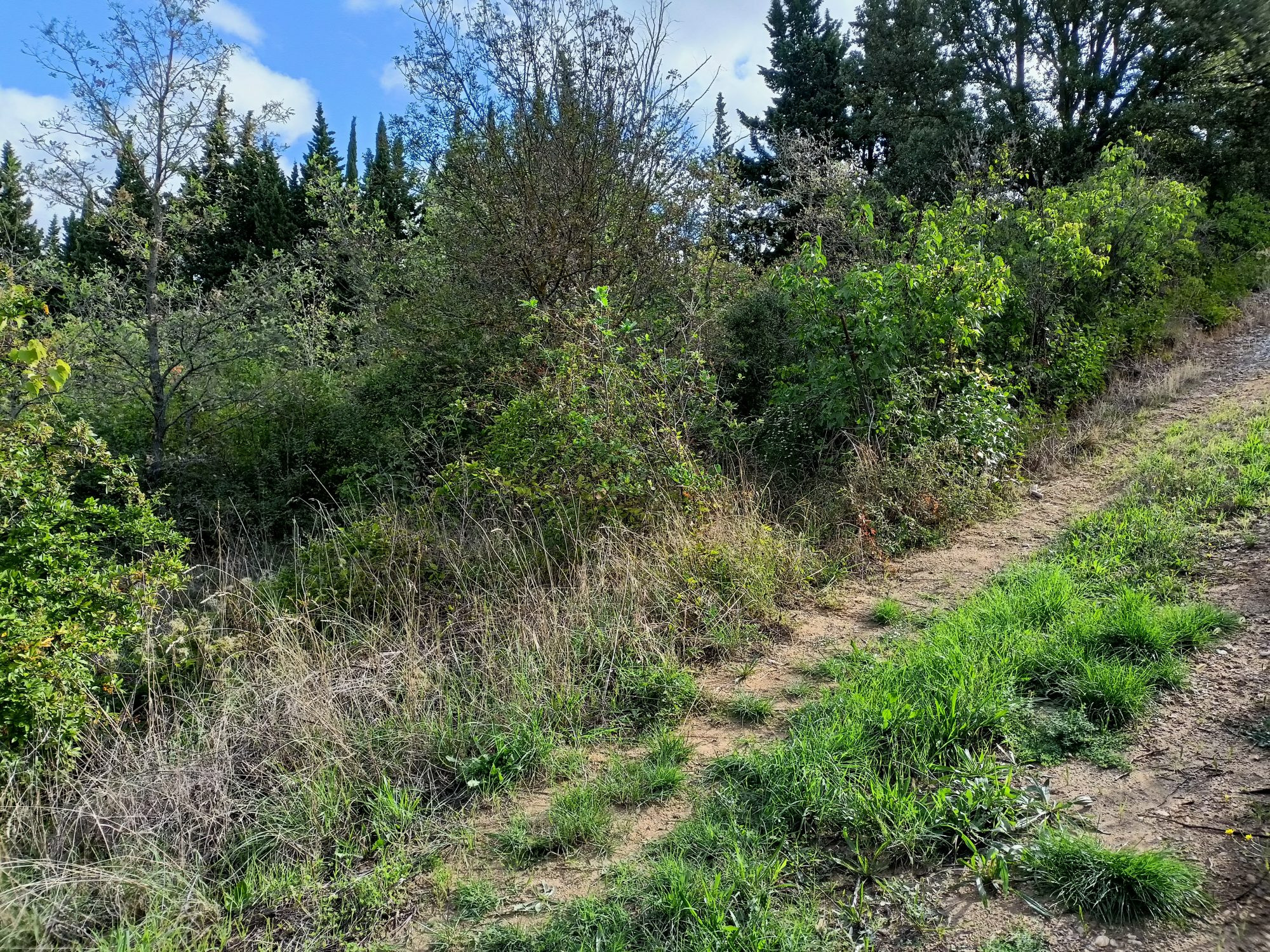 Terrain à vendre à Magrie
