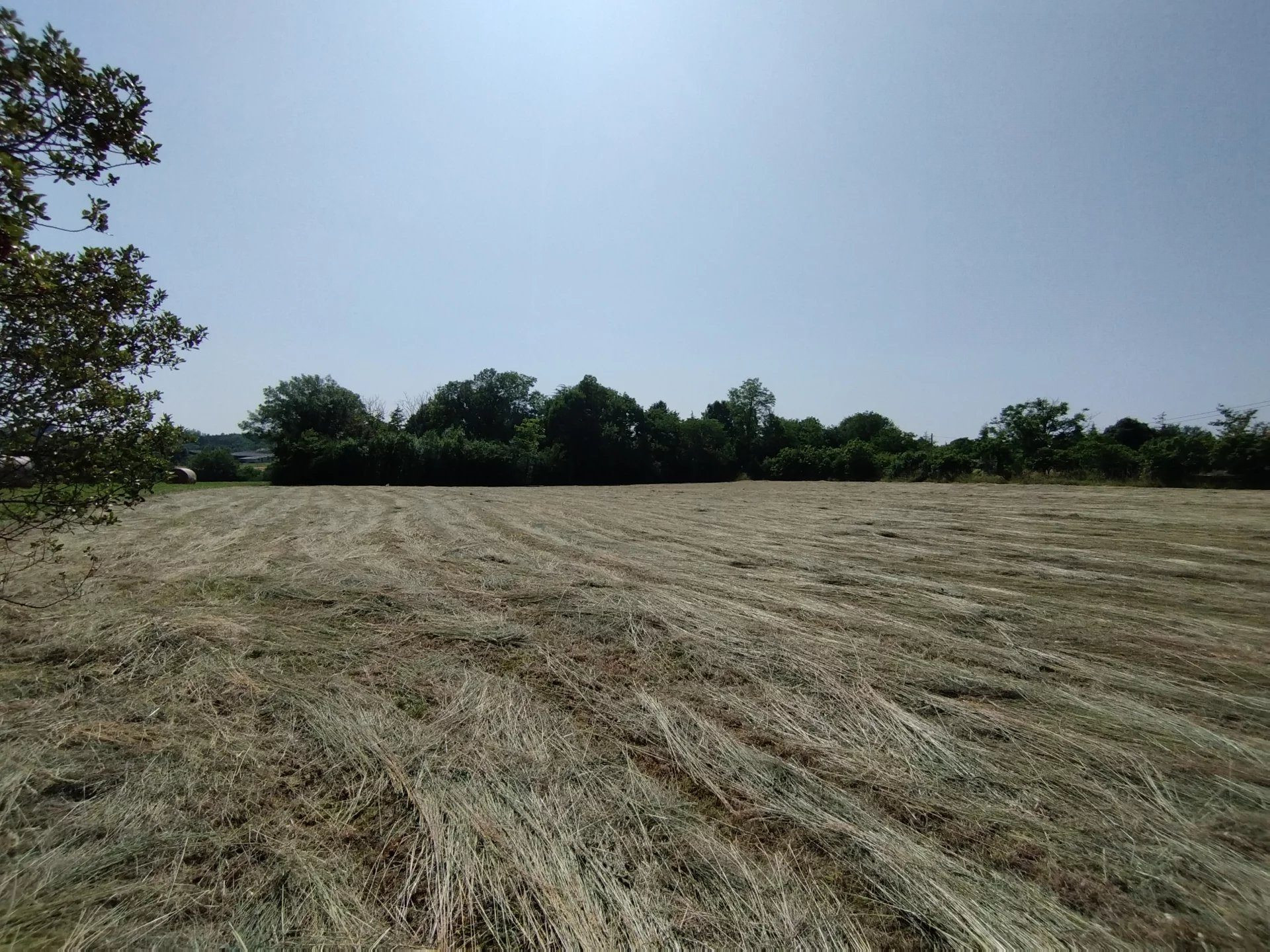 Grand terrain constructible de 3925 m² à Castelnau-Montratier – À saisir à prix canon ! · 43 000 €