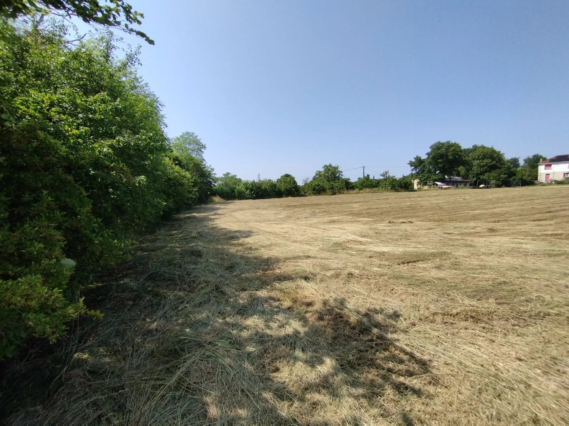 Grand terrain constructible de 3925 m² à Castelnau-Montratier – À saisir à prix canon !
