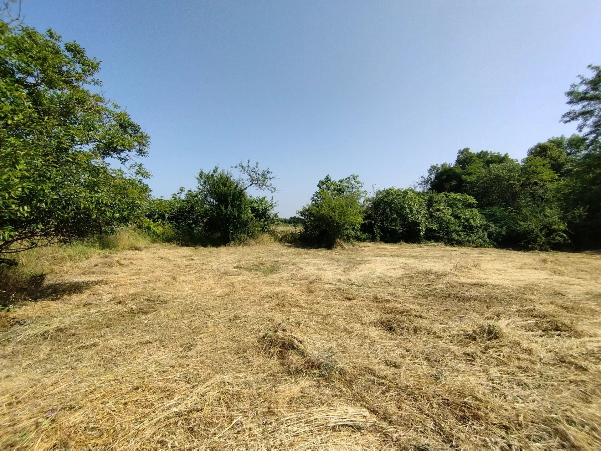 Grand terrain constructible de 3925 m² à Castelnau-Montratier – À saisir à prix canon !