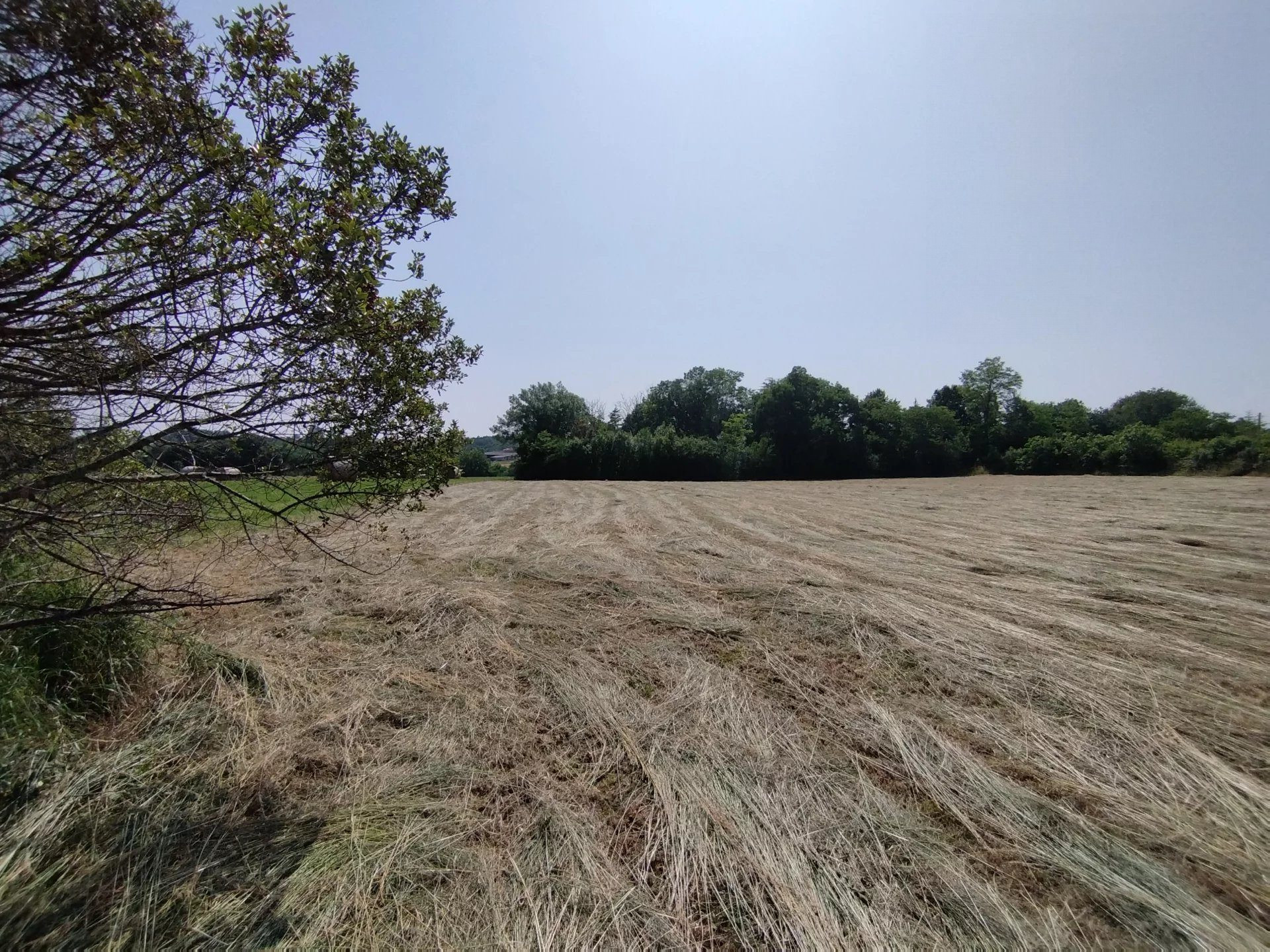Grand terrain constructible de 3925 m² à Castelnau-Montratier – À saisir à prix canon !
