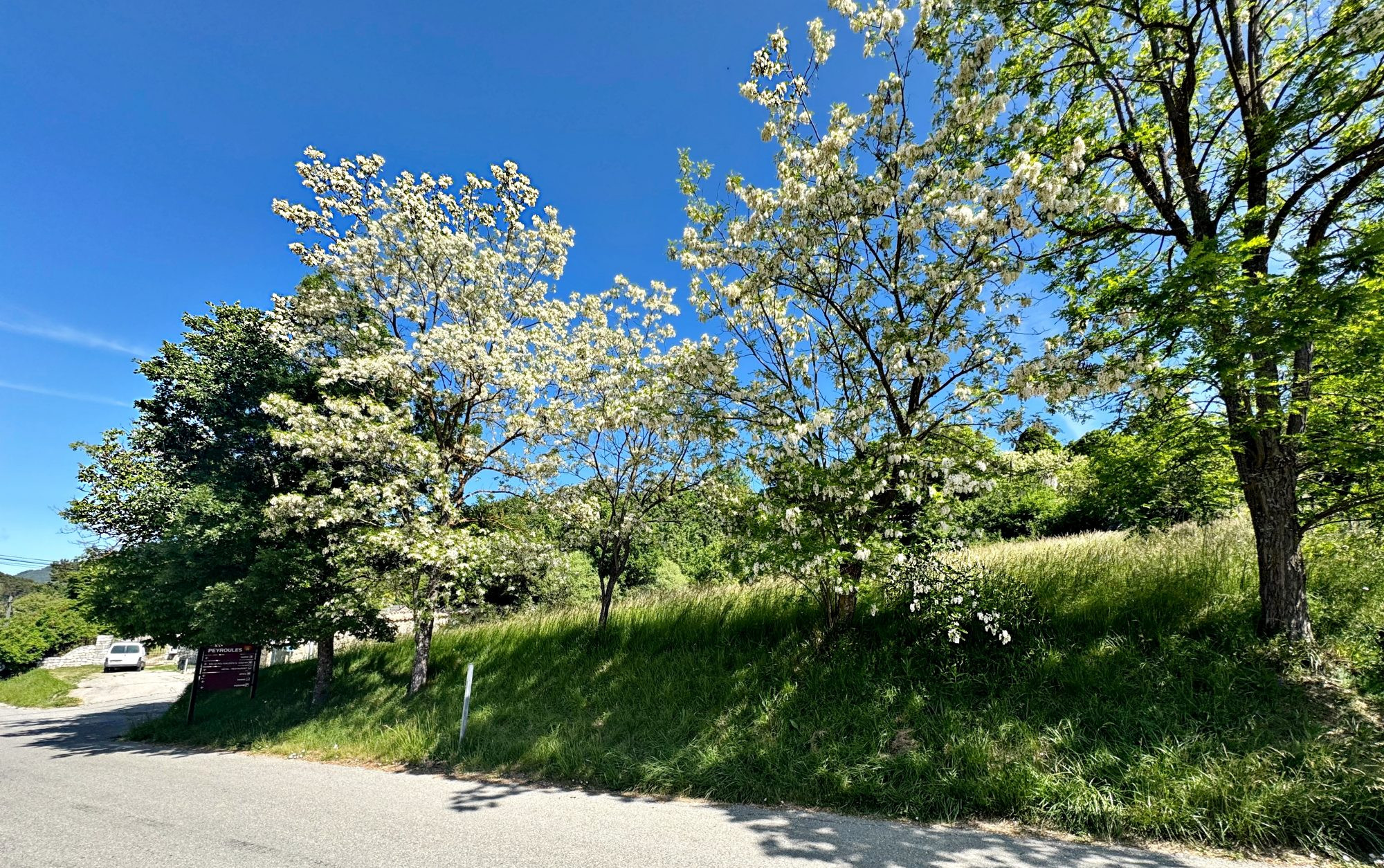 Land for sale in Peyroules