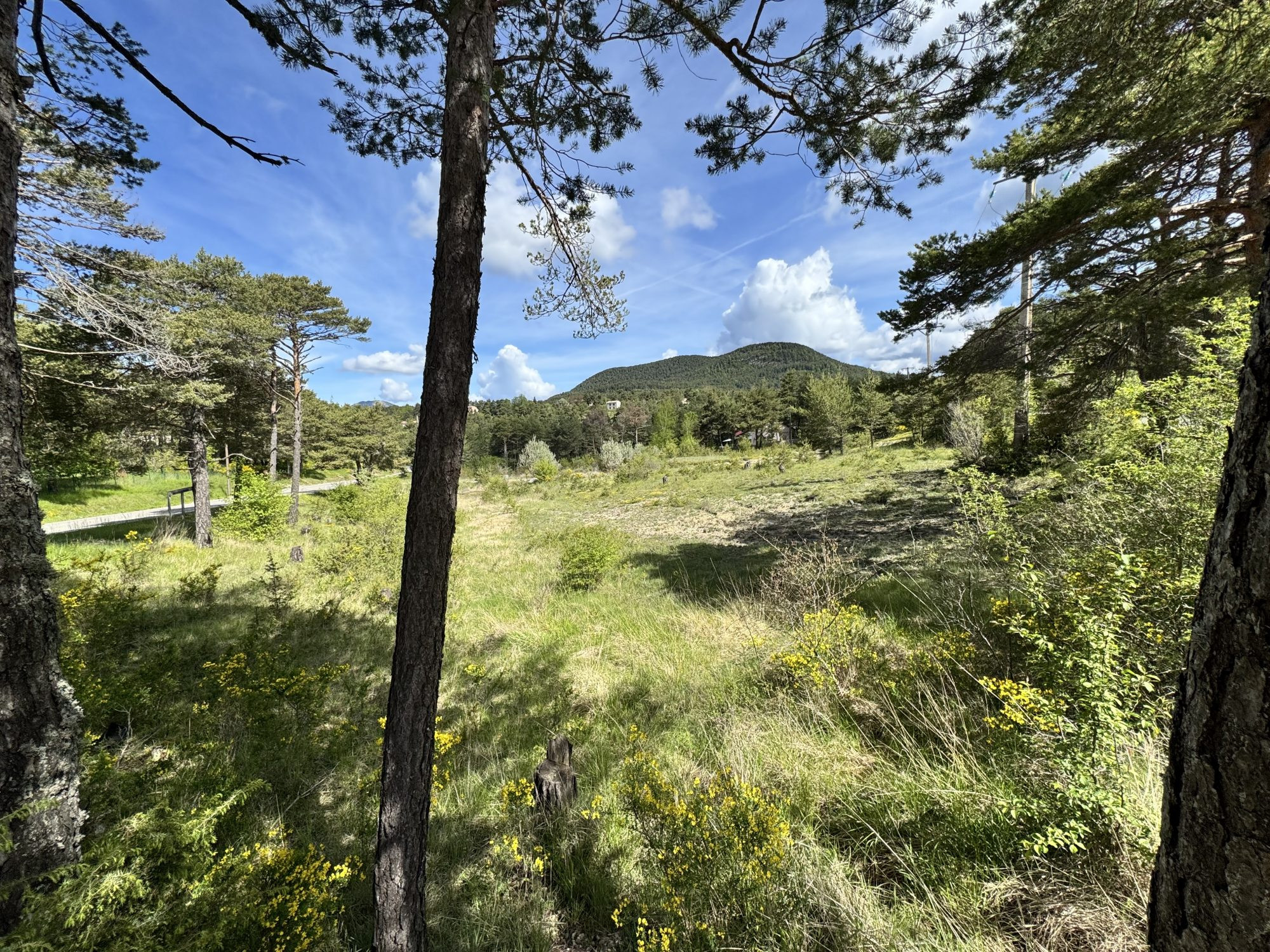 la martre , Terrain plat constructible de 4 690 m² – divisible – proche Golf de Taulane et Gorges du Verdon