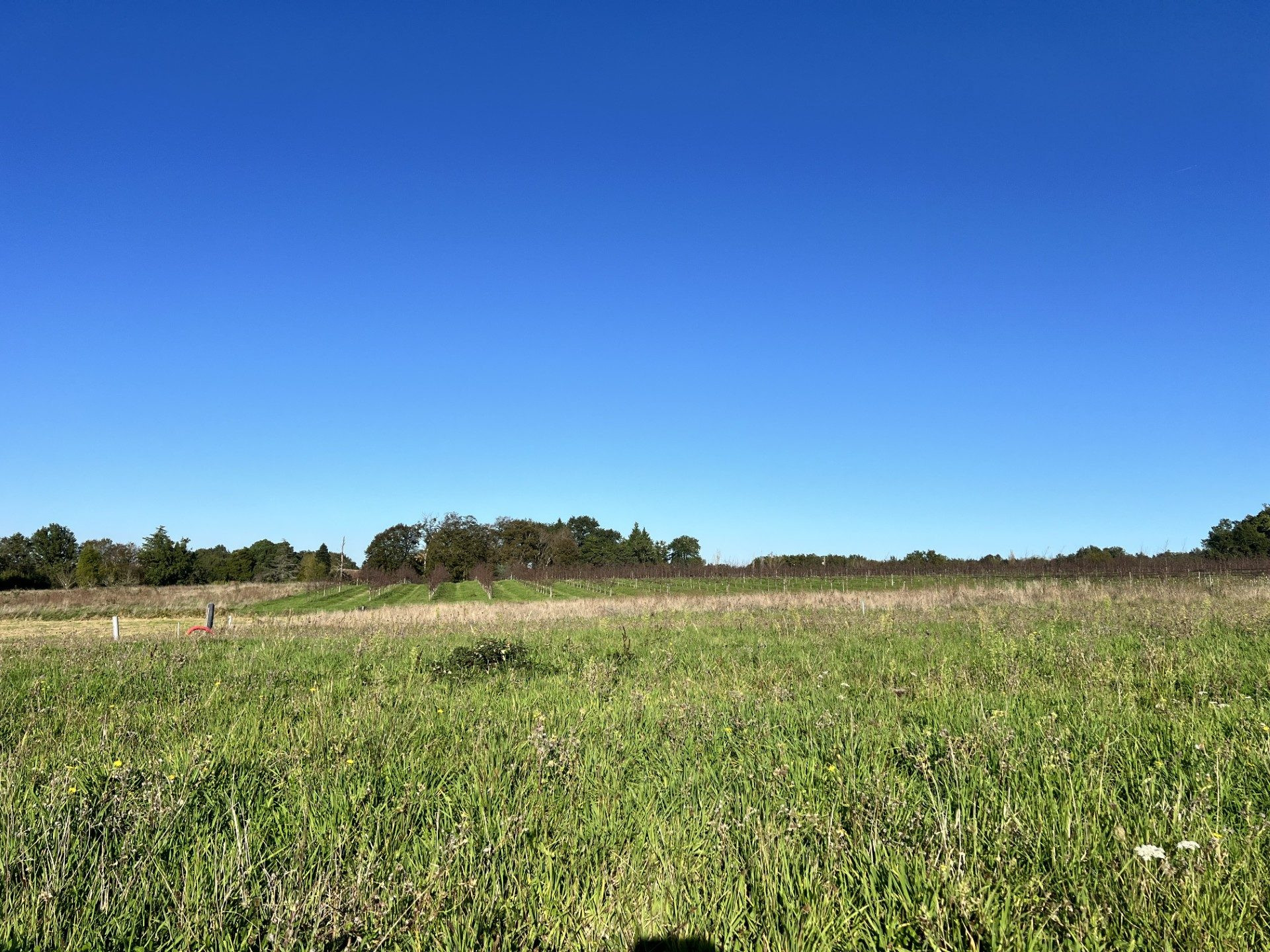 Terrain constructible Saint Nexans · à Saint-Nexans · 33 000 €