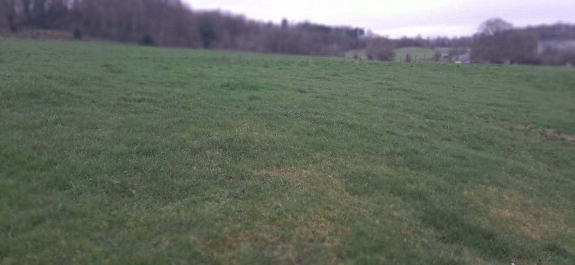 Land in Gernelle 2