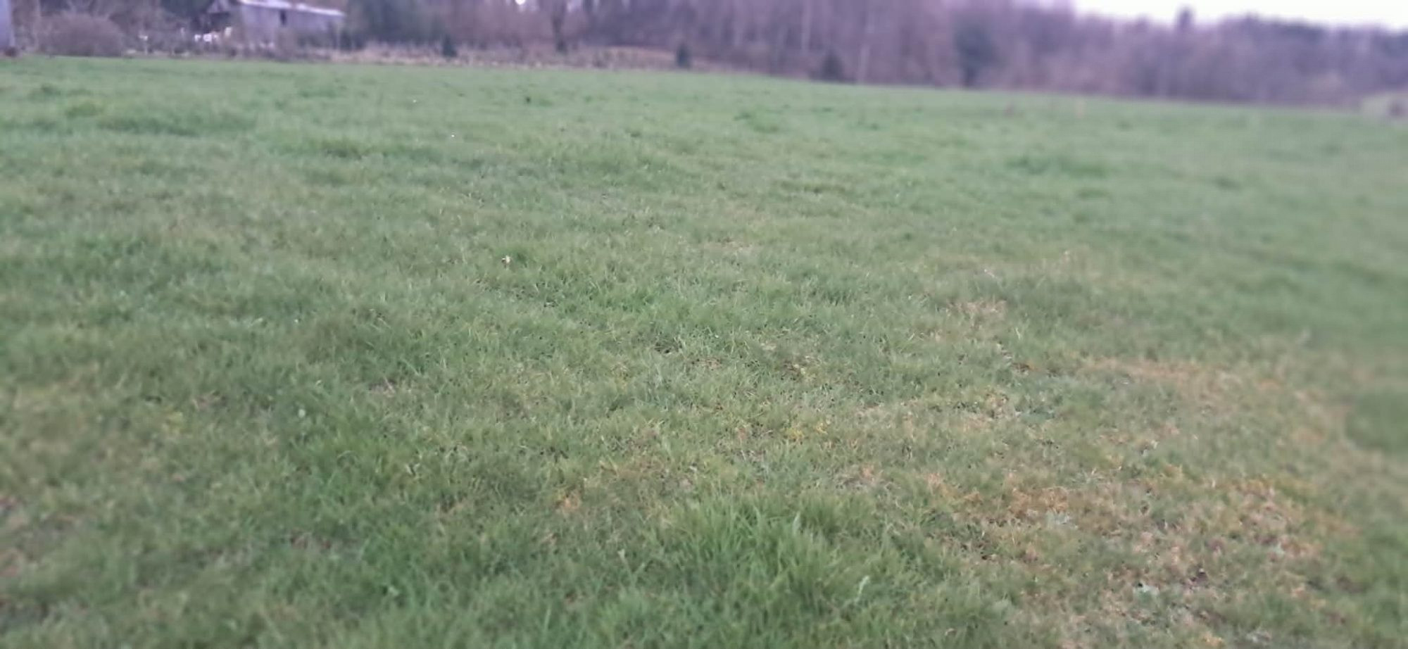 Terrain dans Gernelle