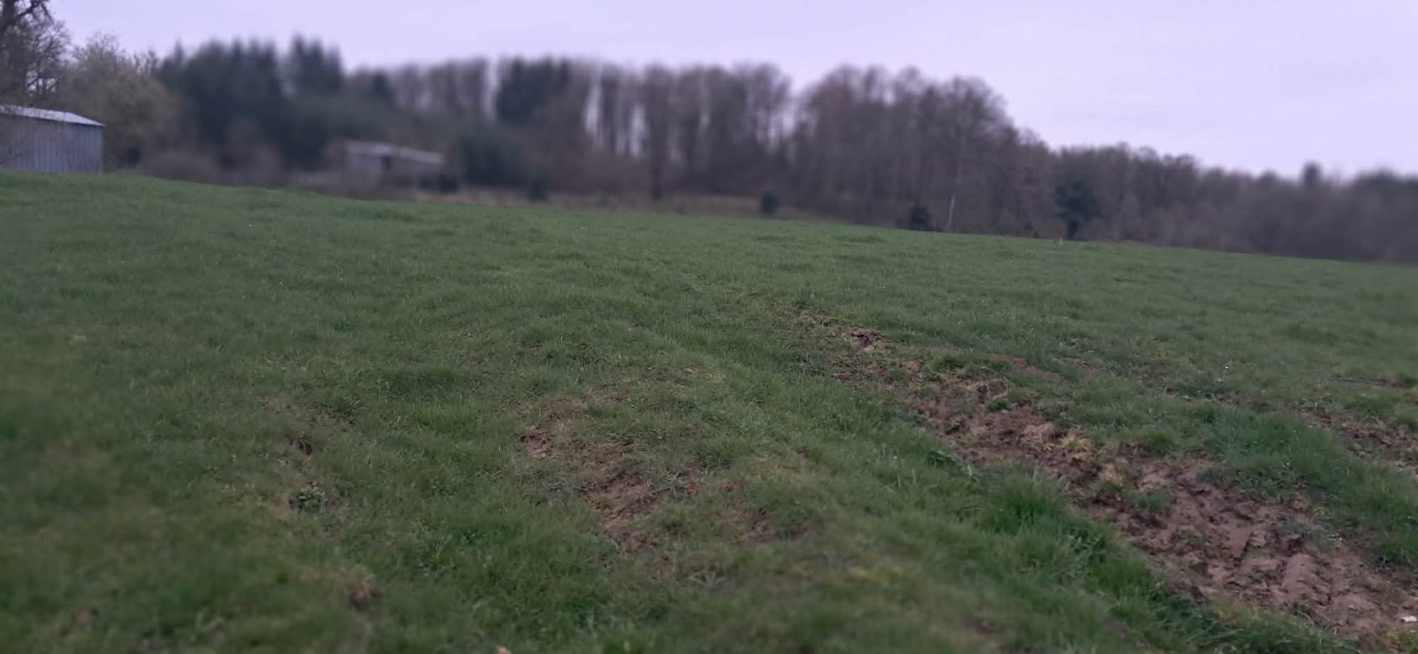 Terrain dans Gernelle