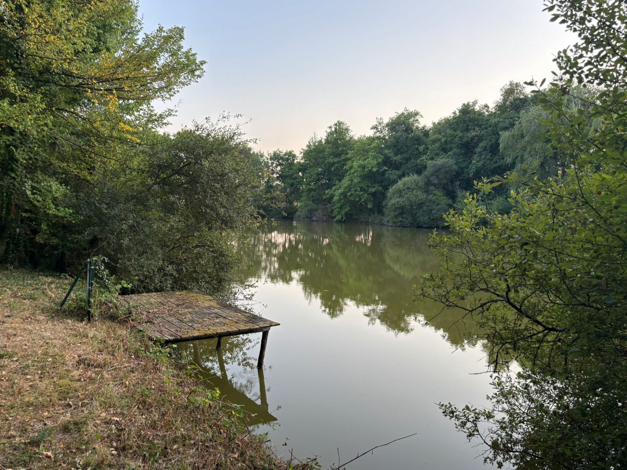 Domaine avec étang privé – Un lieu d’exception pour passionnés de pêche · à Blancafort · 139 500 €