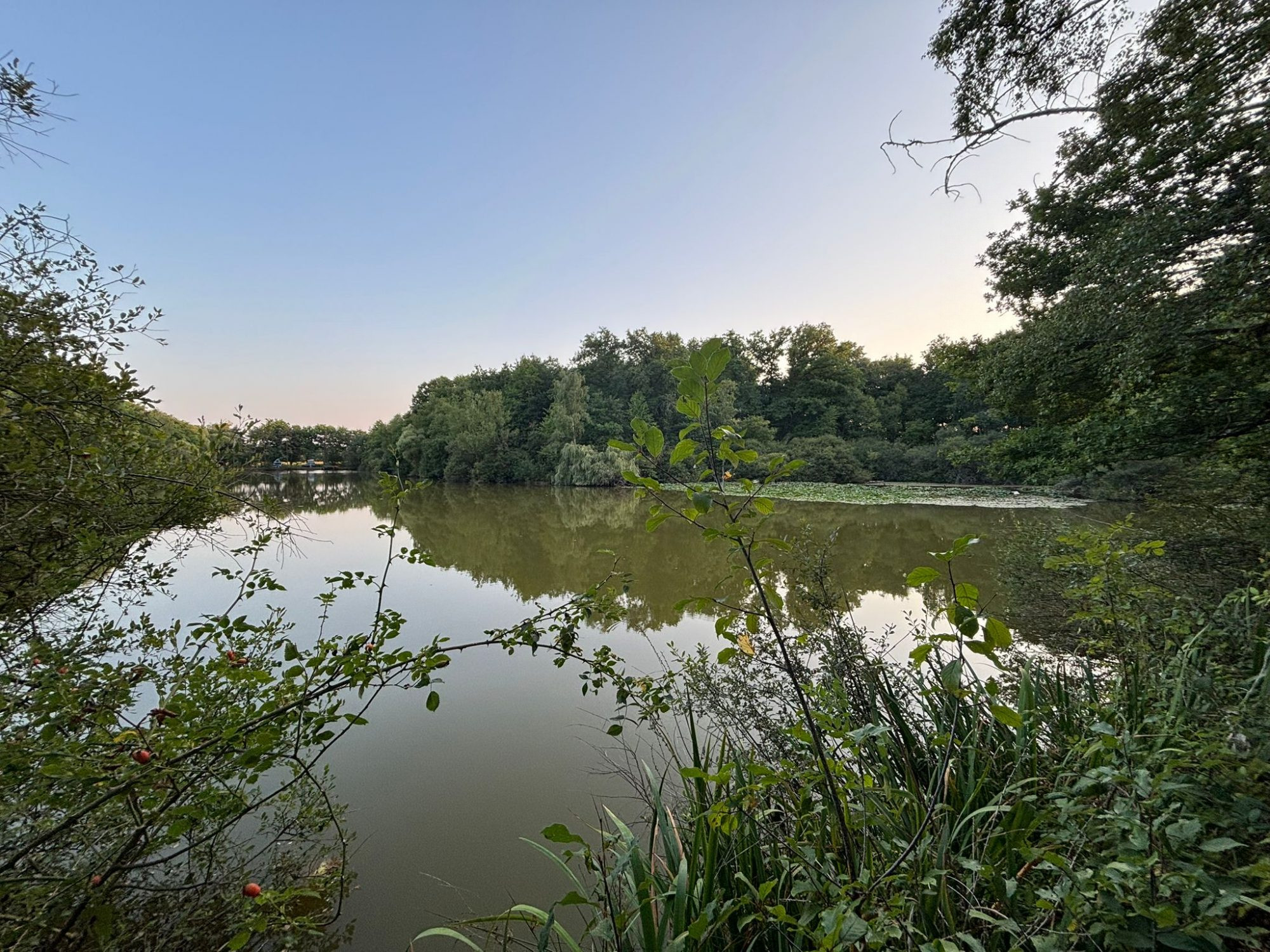 Domaine avec étang privé – Un lieu d’exception pour passionnés de pêche