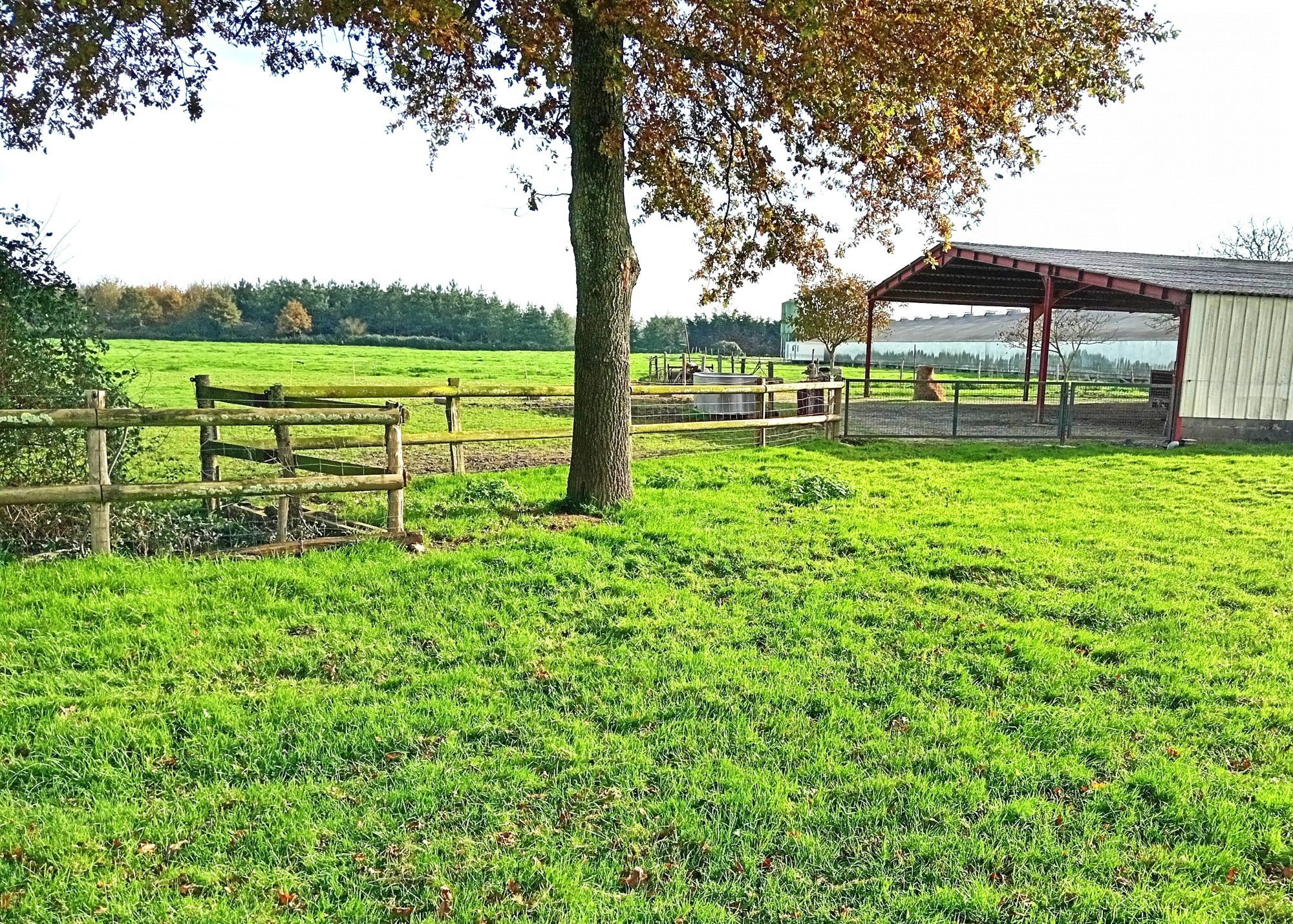 Terrain à vendre à Vallons-de-l'Erdre