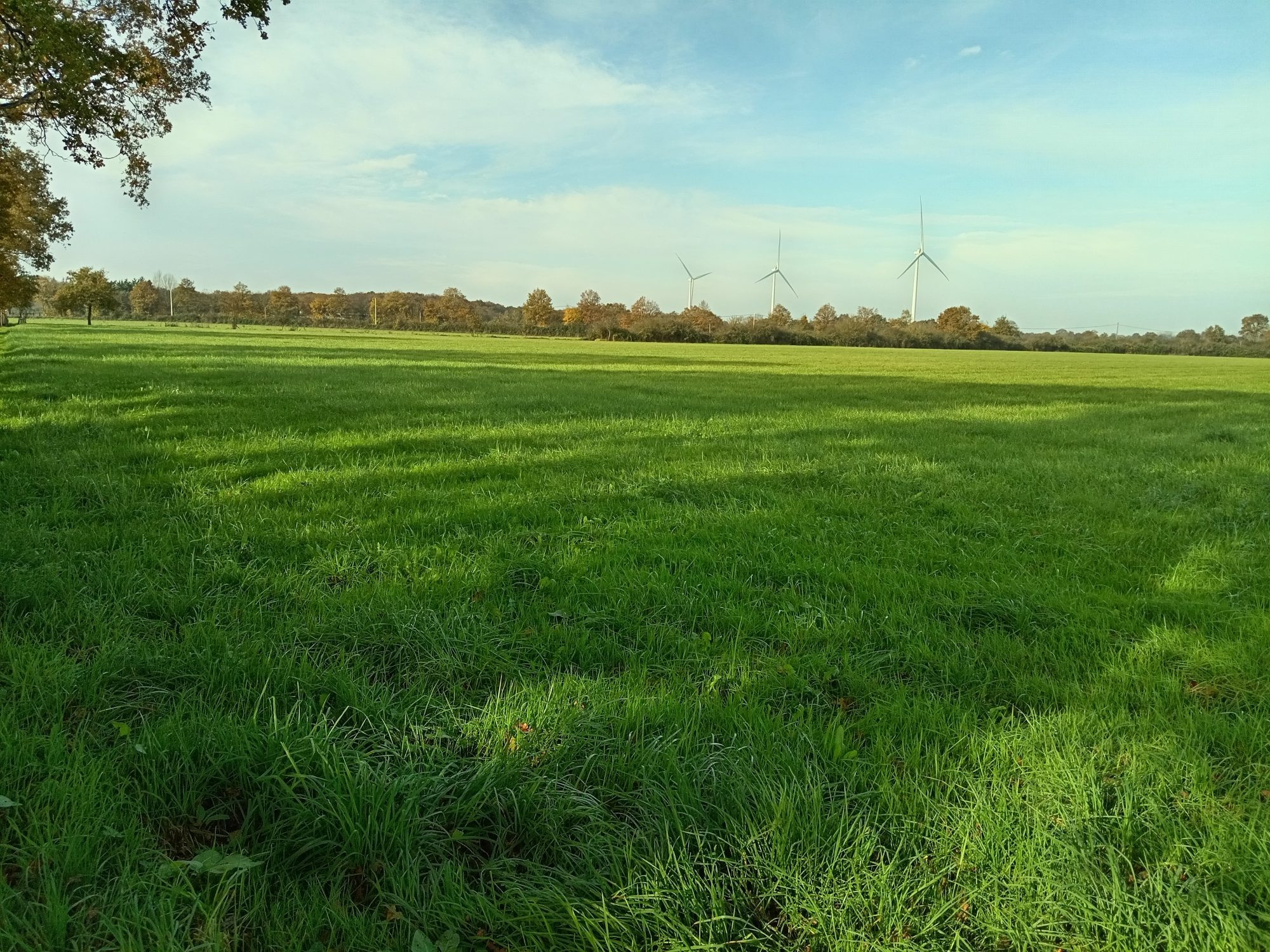 Terrain à vendre à Vallons-de-l'Erdre