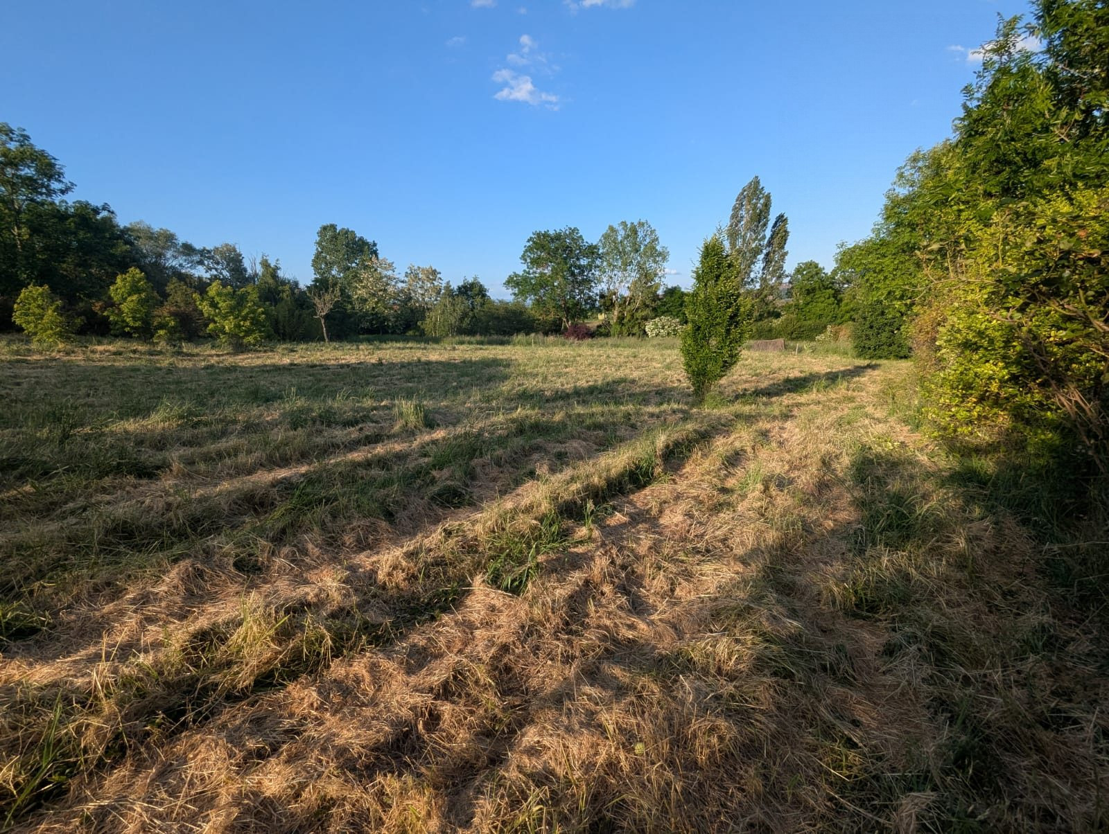 Terrain viabilisé