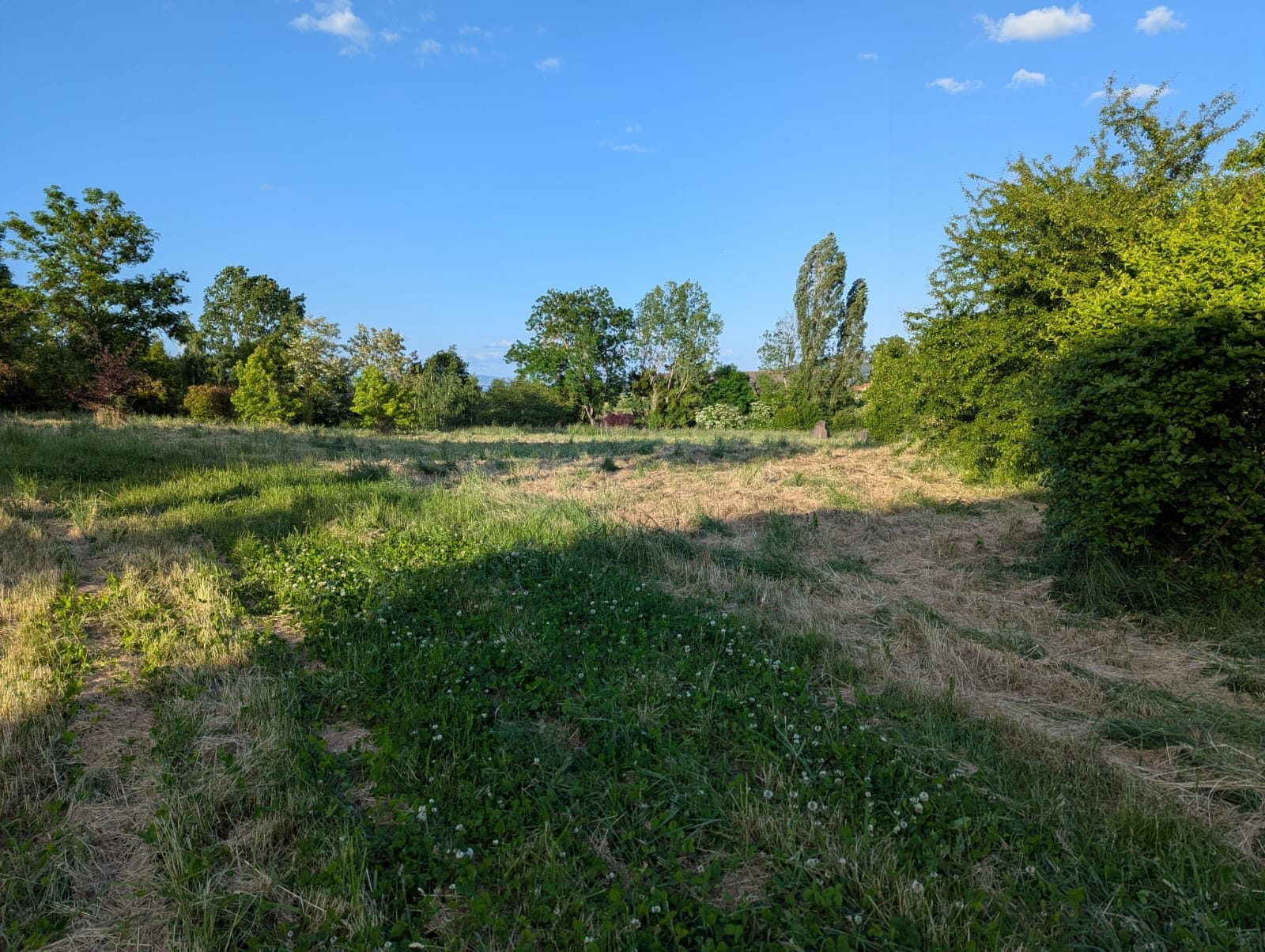 Serviced Land 3