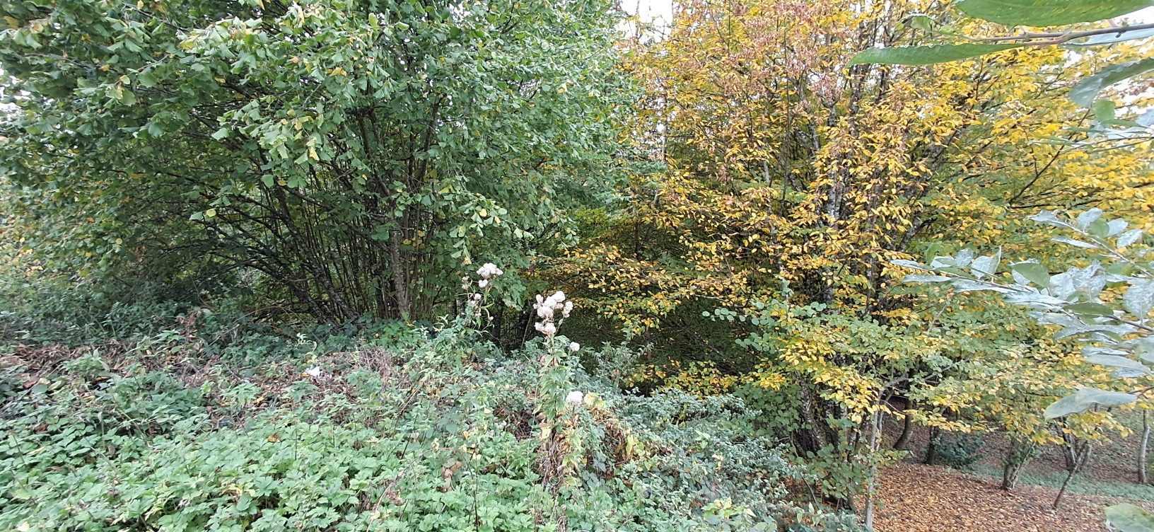 Terrain 1515 m² · à Bazeilles · 1 515 m² · 30 000 €