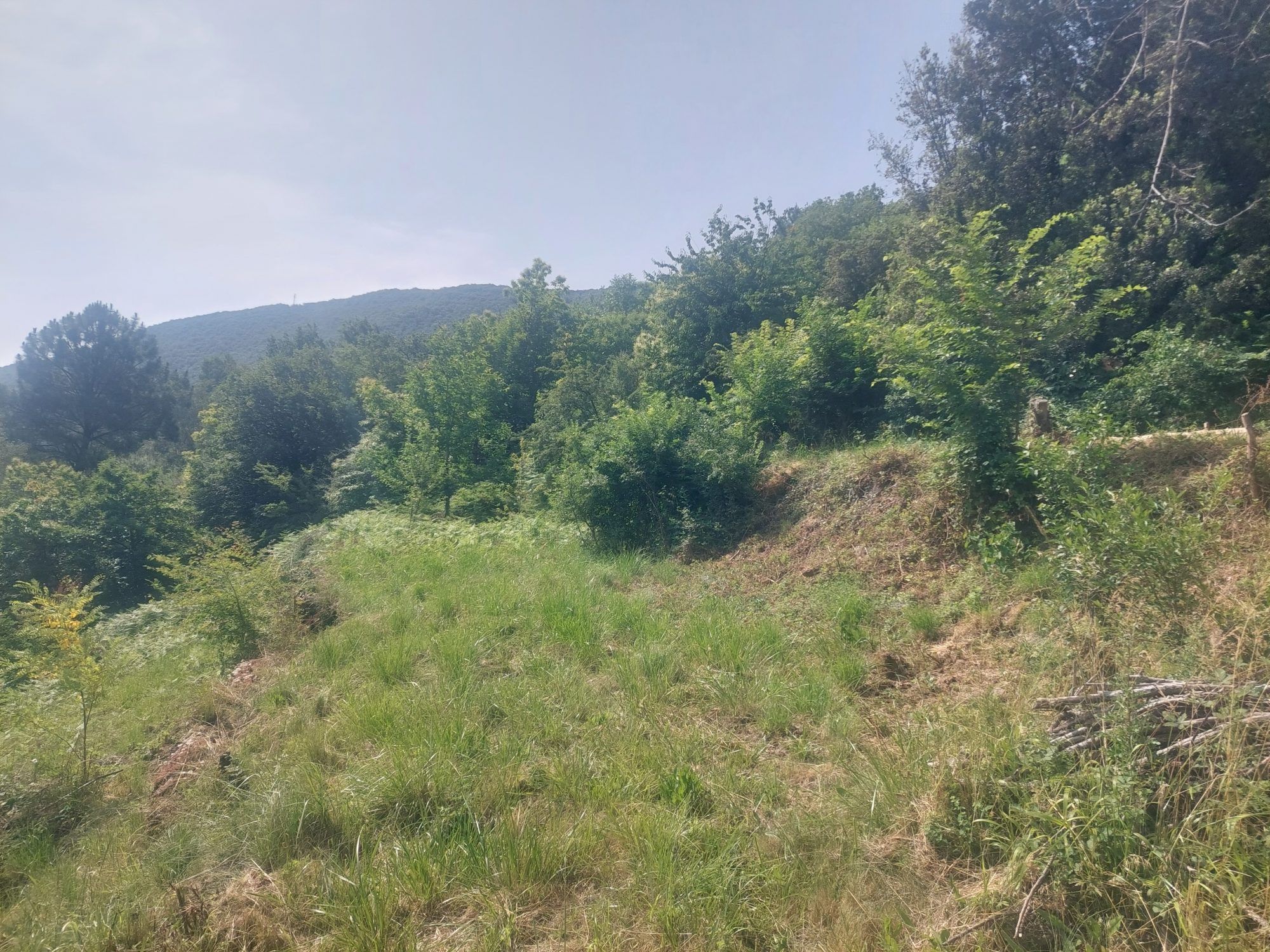 Buildable serviced land with building permit 4